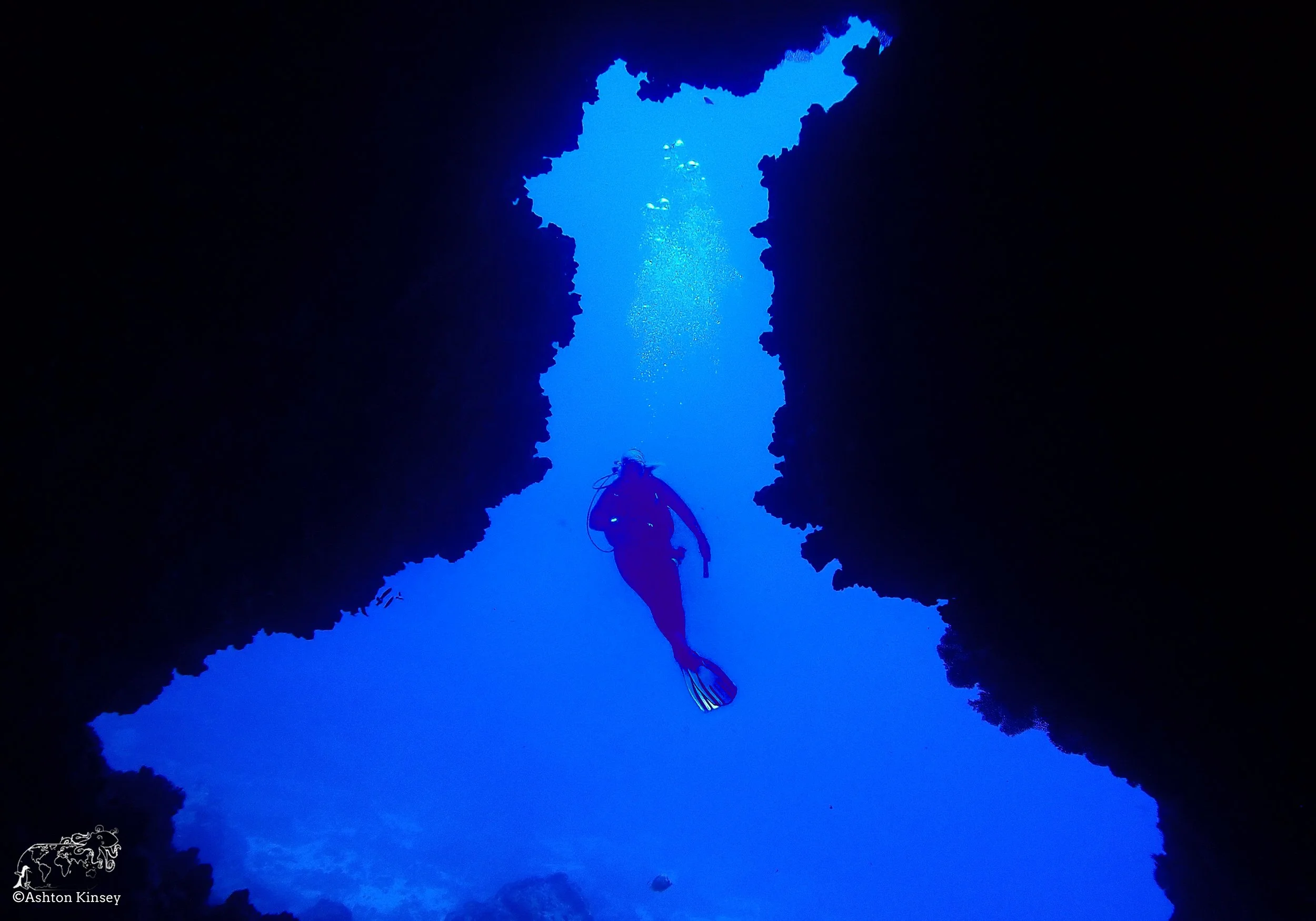 Wolf Island - The Caves - Dive 20-9.jpg