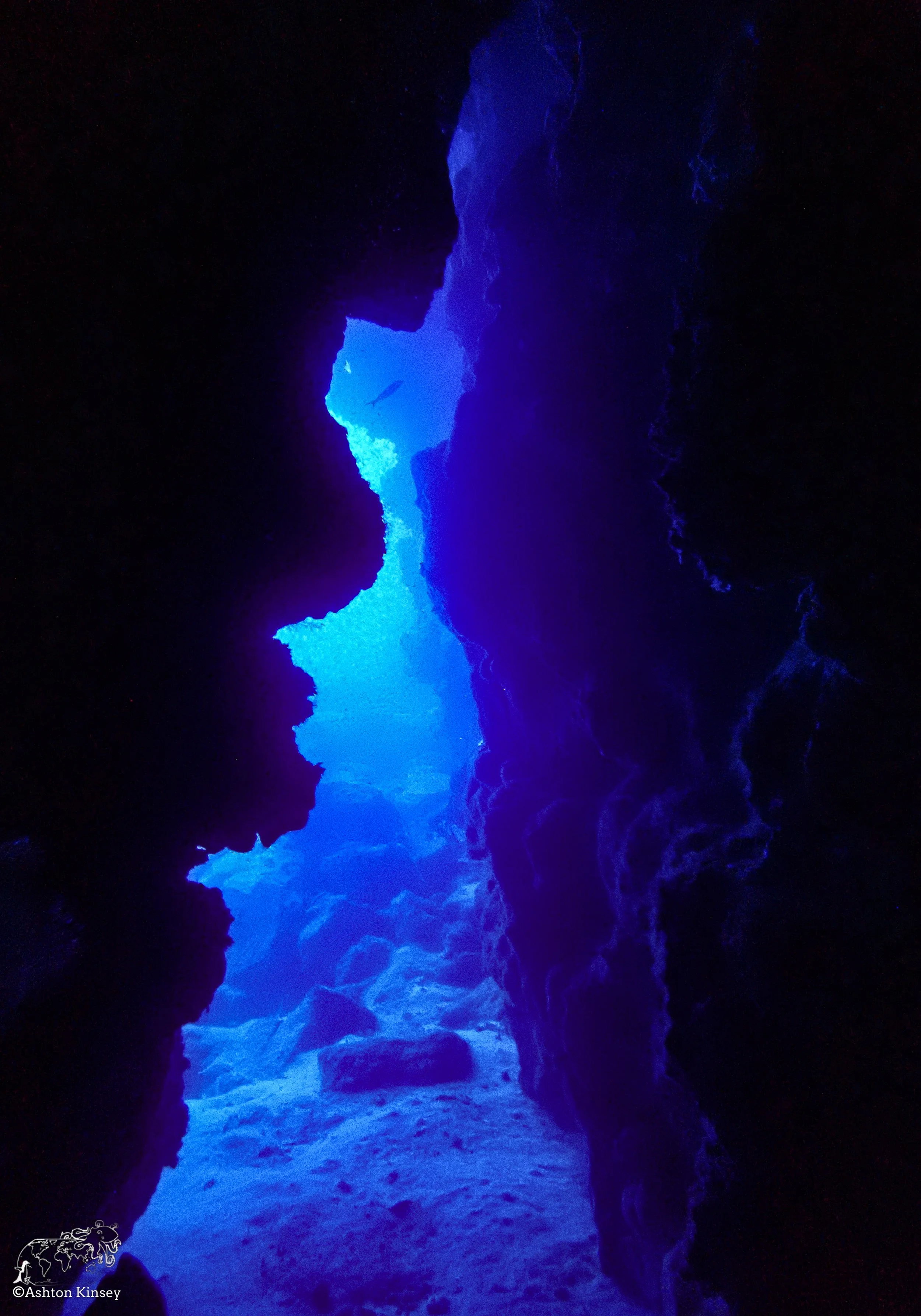 Wolf Island - The Caves - Dive 20-13.jpg