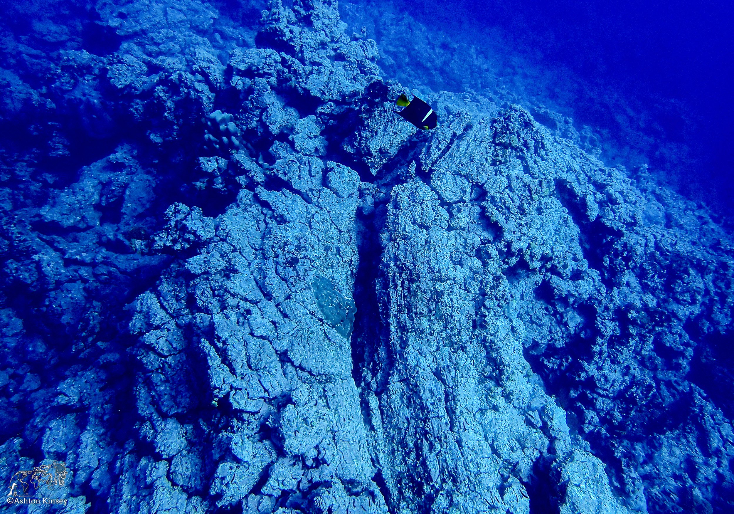 Cape Marhsall Dive 26-8.jpg