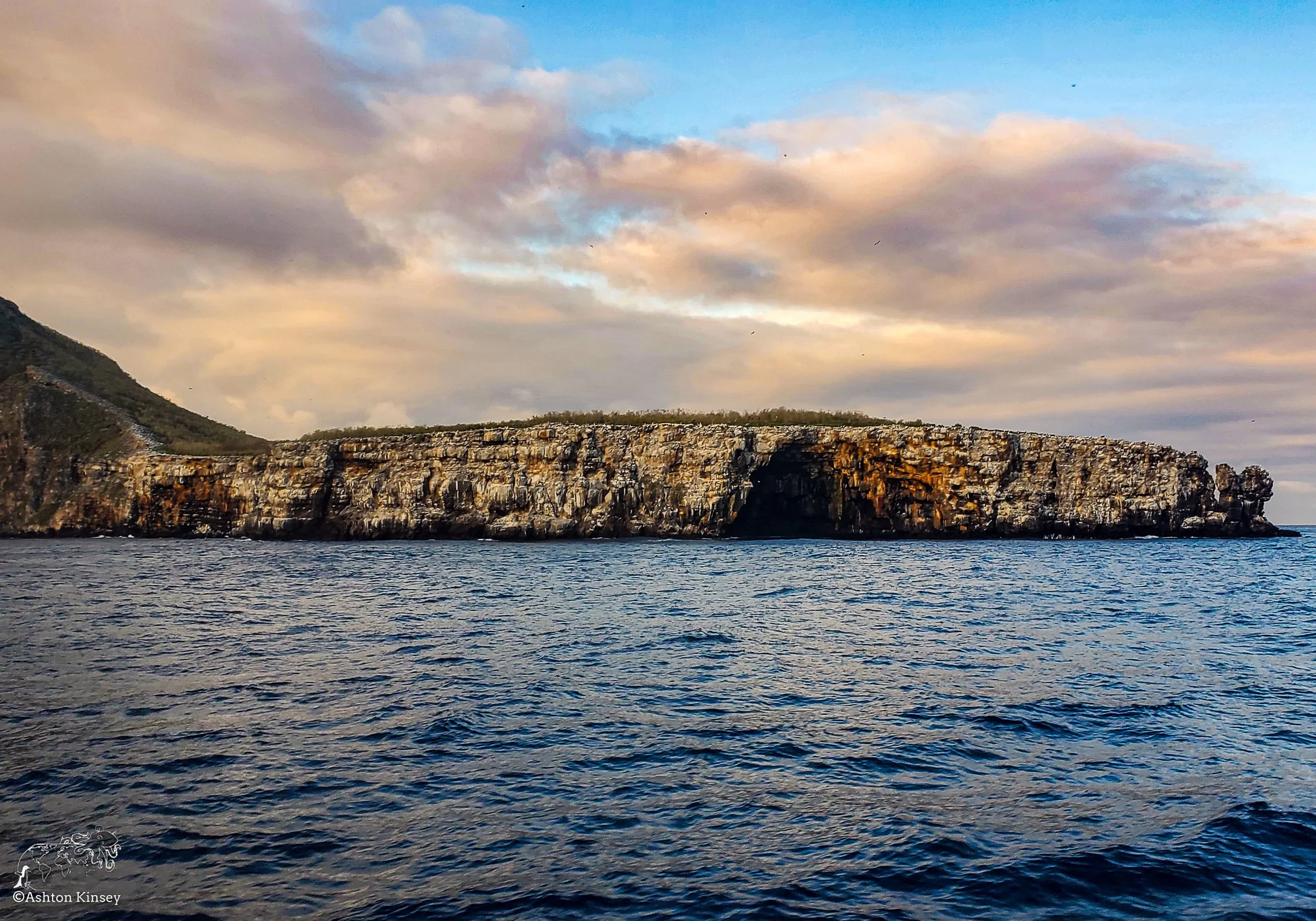 Wolf Island - Land-1.jpg