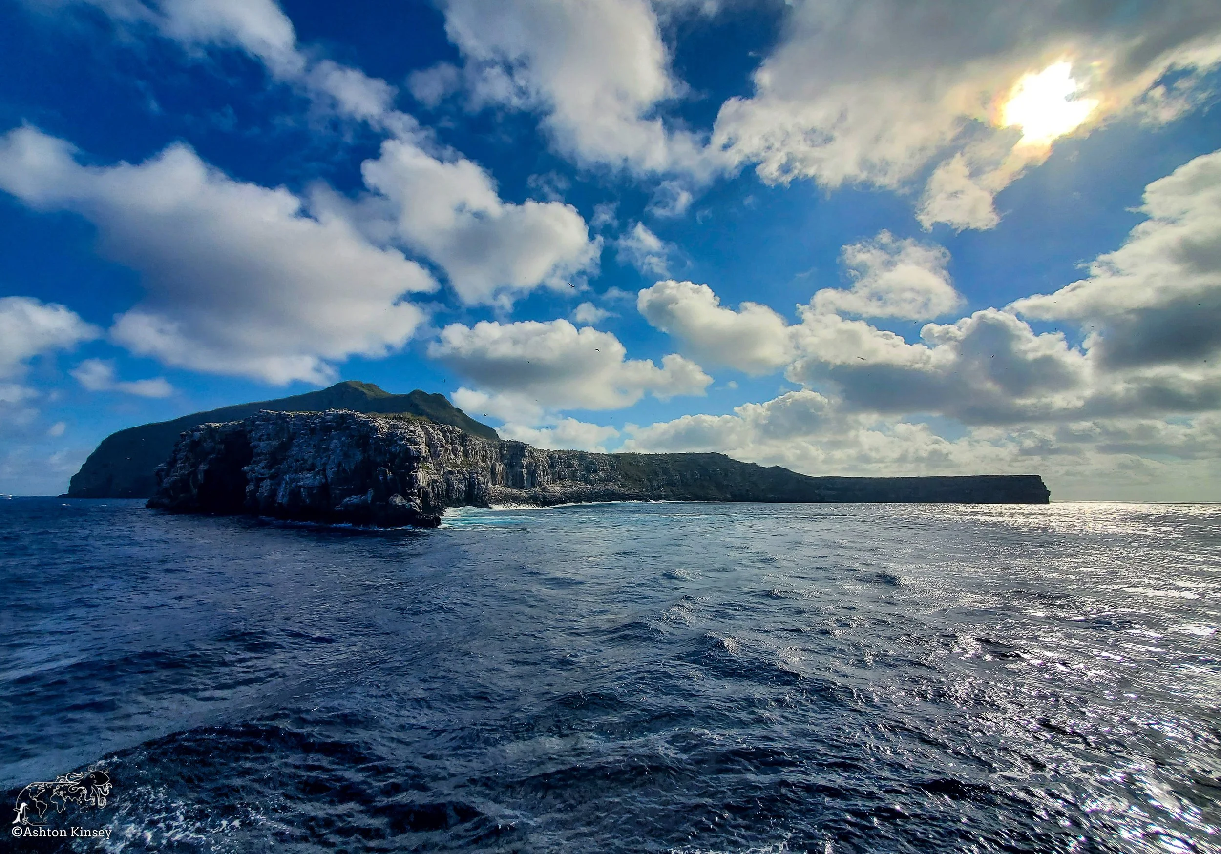 Wolf Island - Land-10.jpg