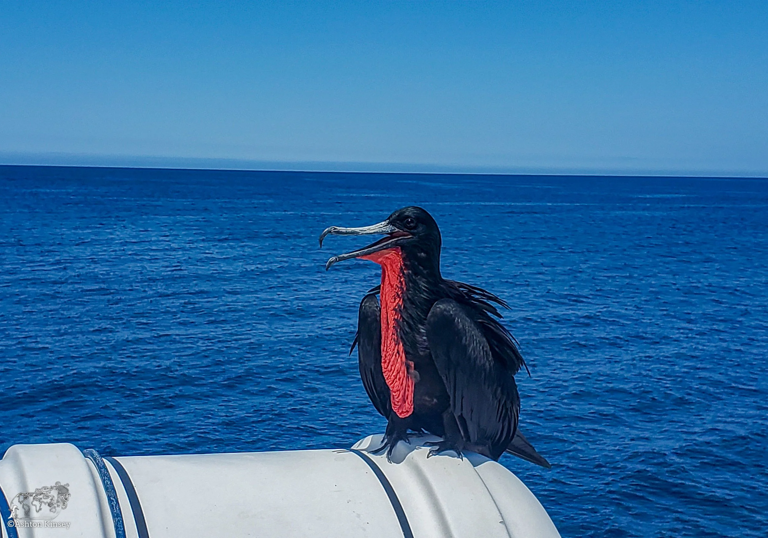 Santa Cruz Land-4.jpg