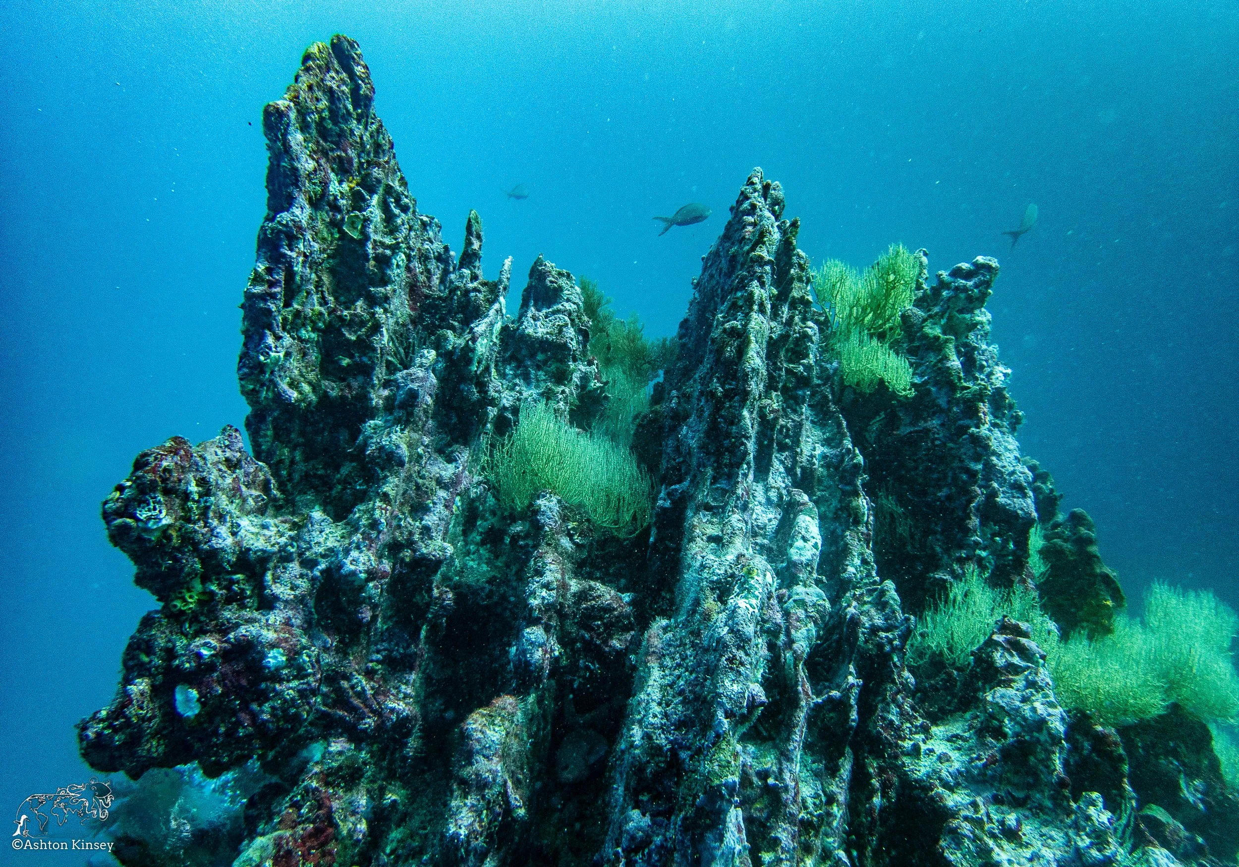 Cousin Rock Dive 30-1.jpg