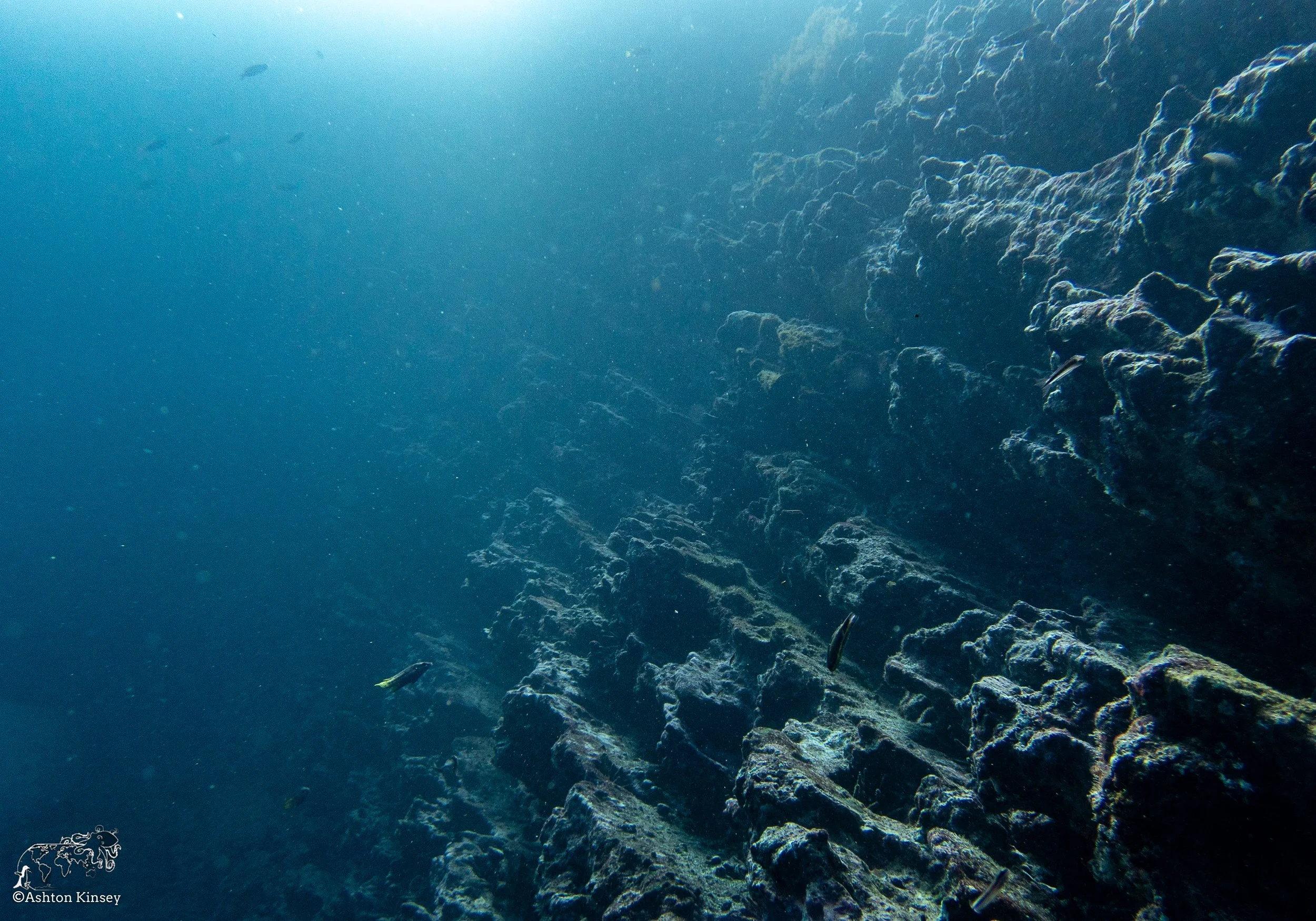 Cousin Rock Dive 30-17.jpg