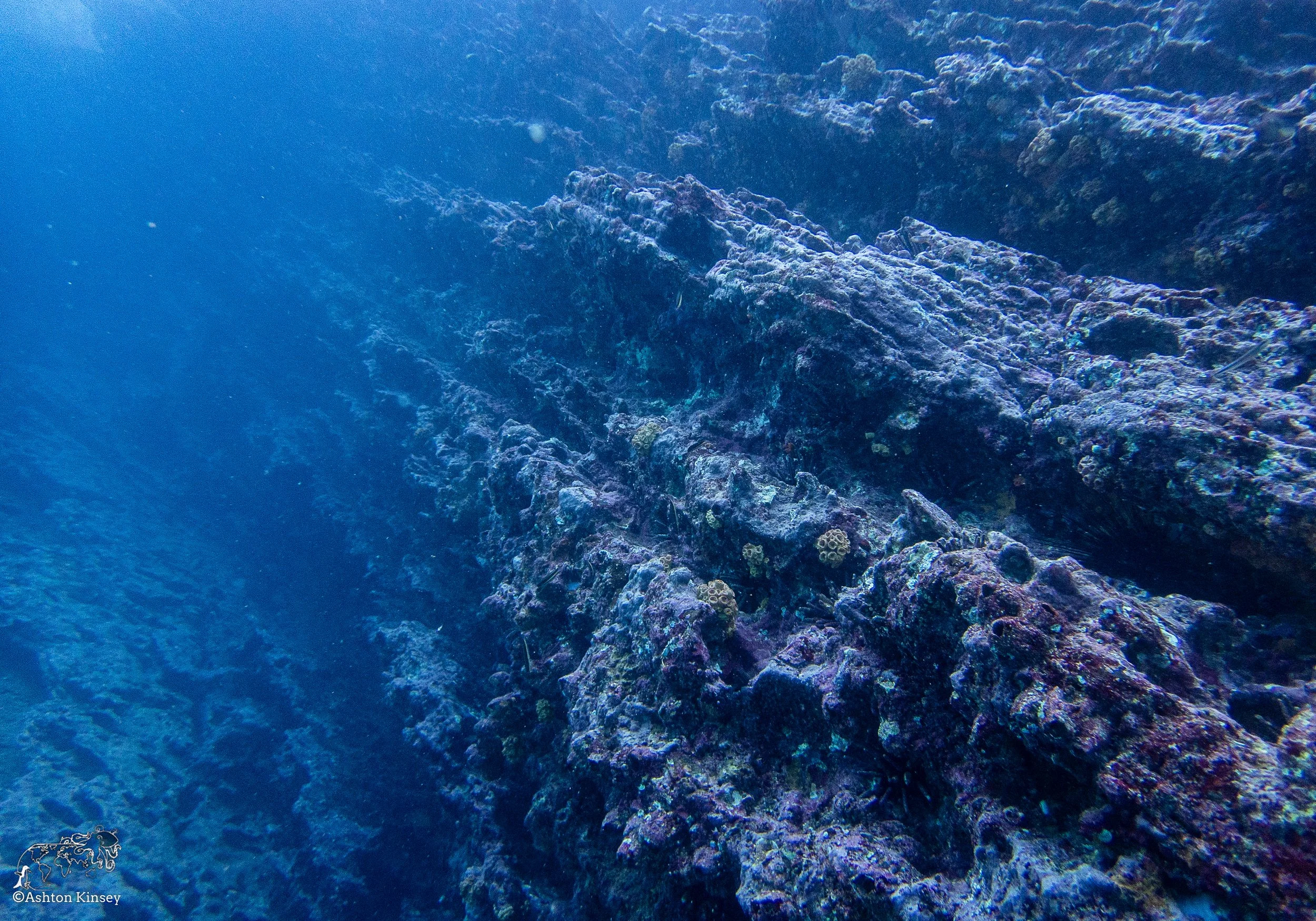 Cousin Rock Dive 30-18.jpg