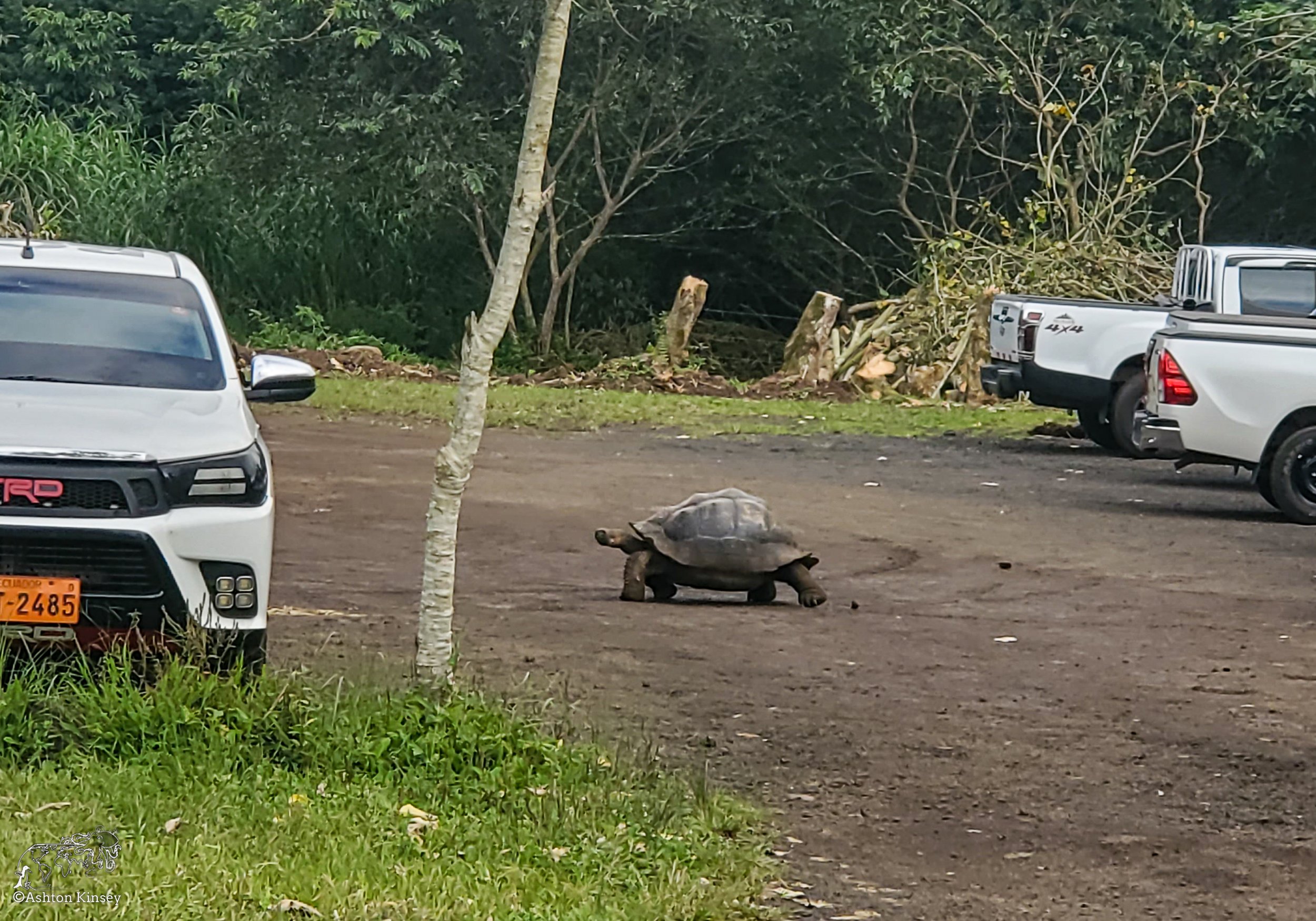 El Chato Tortoise Reserve-6.jpg