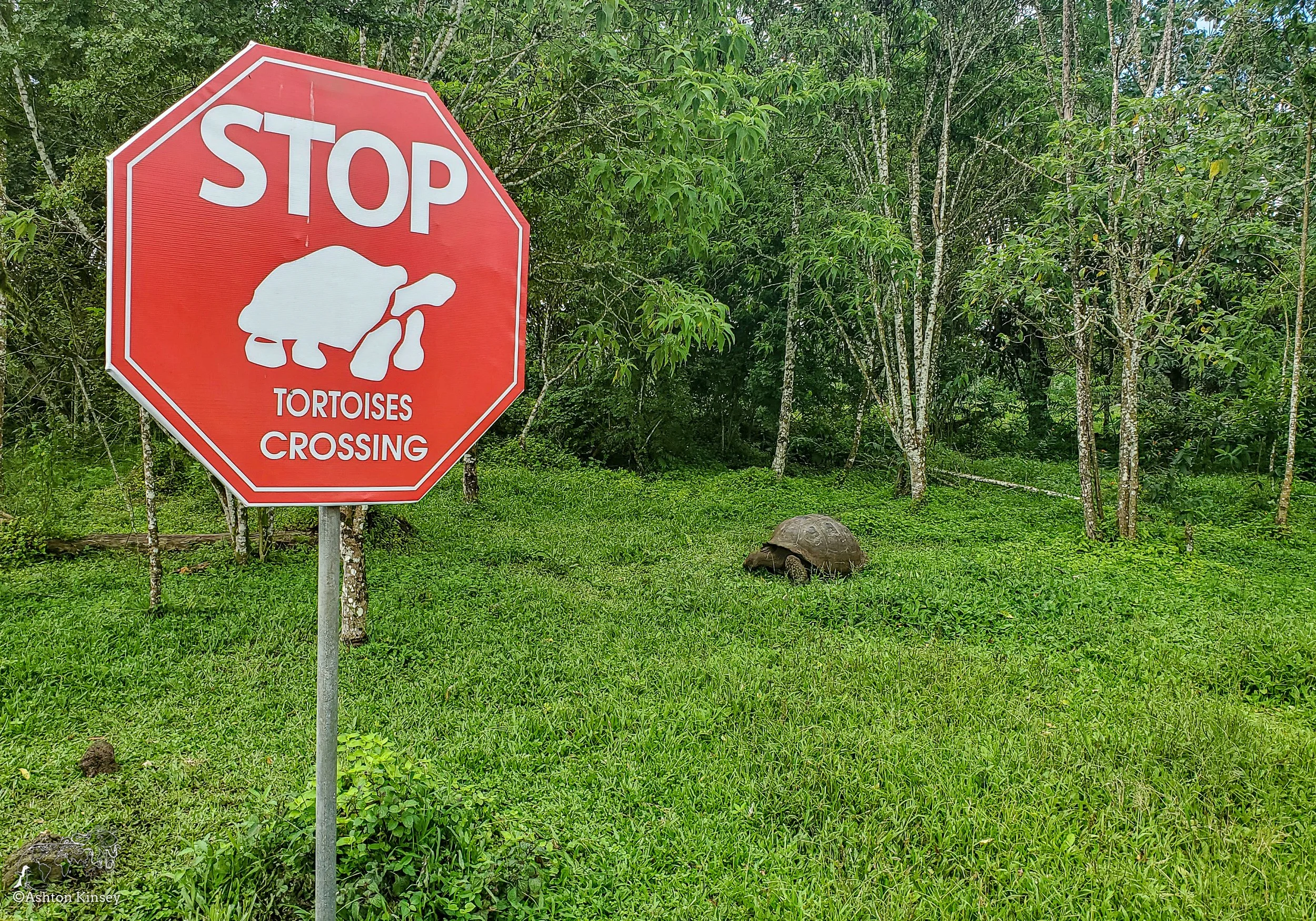 El Chato Tortoise Reserve-5.jpg