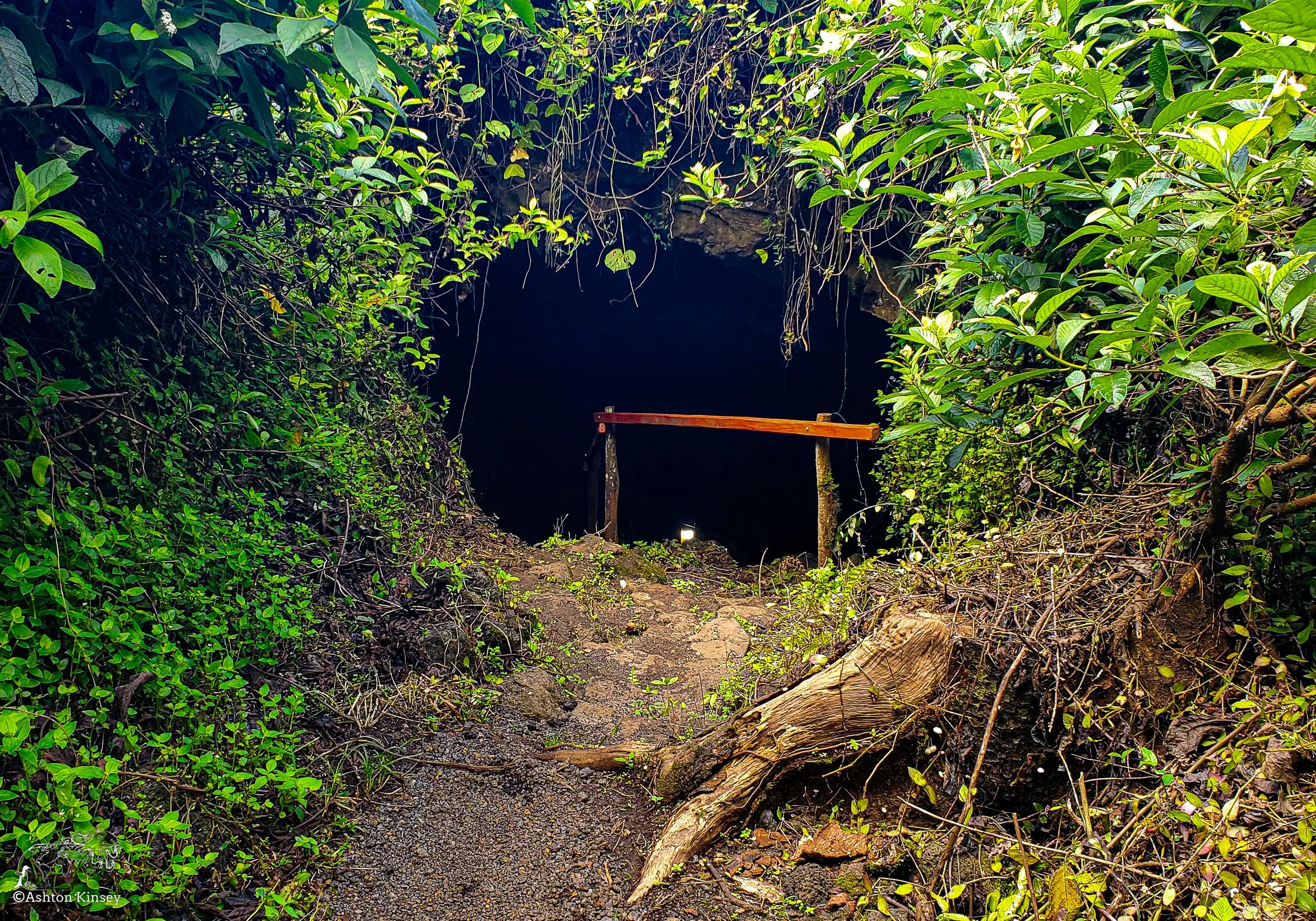 El Chato Tortoise Reserve-11.jpg