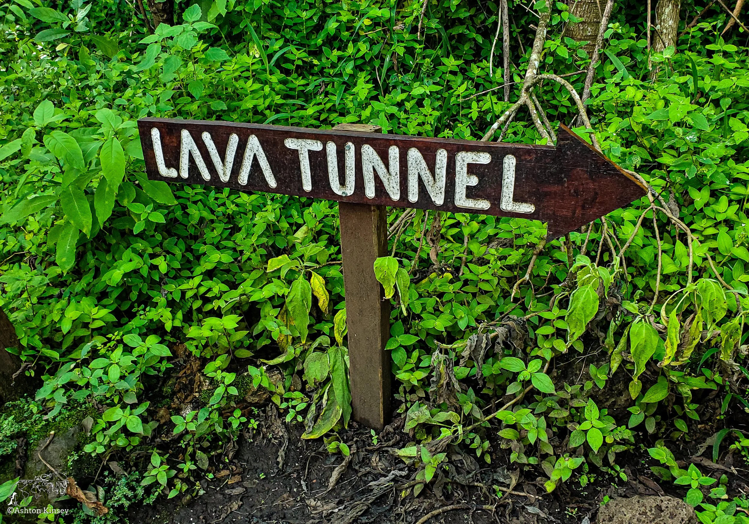 El Chato Tortoise Reserve-14.jpg