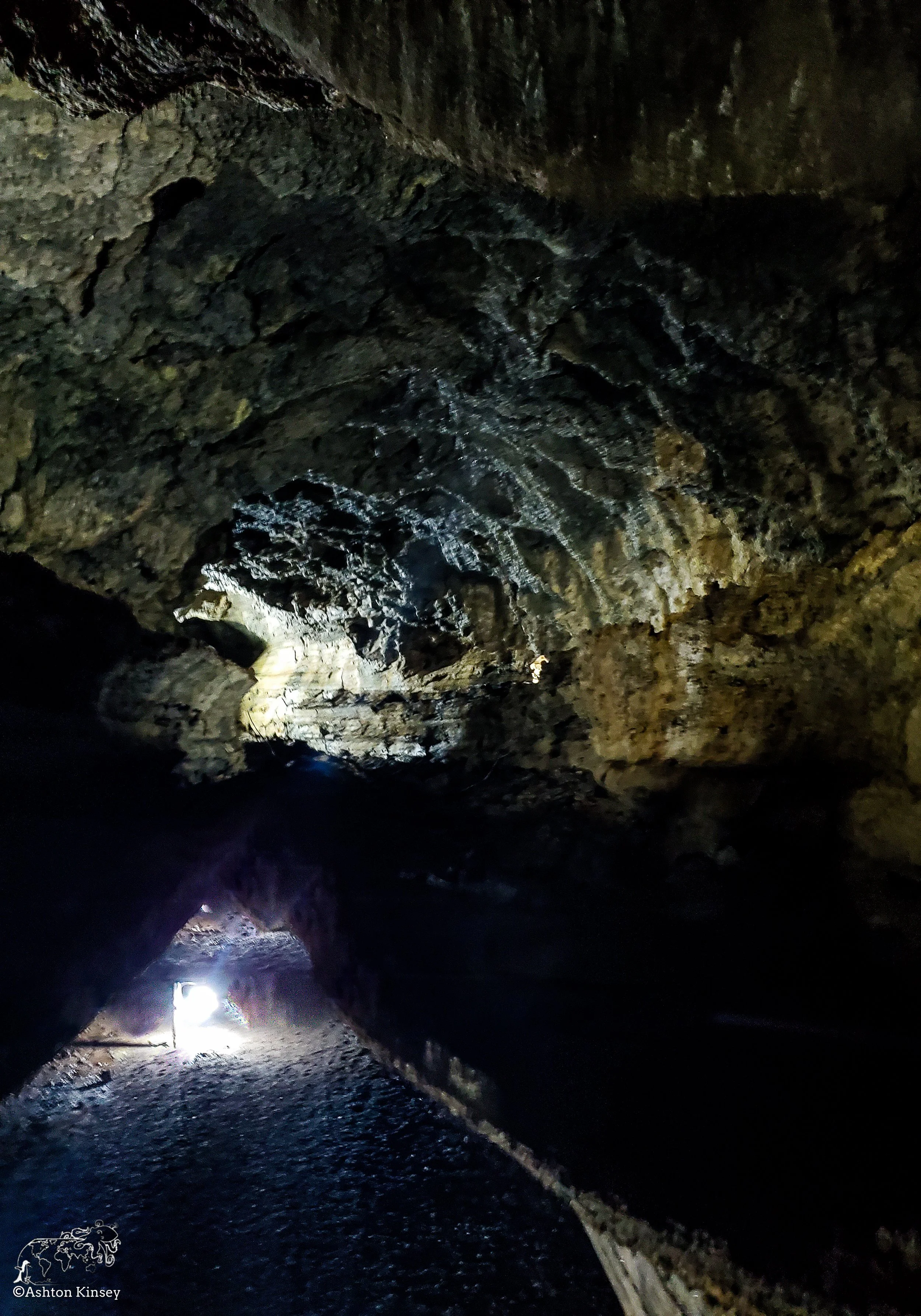 El Chato Tortoise Reserve-18.jpg
