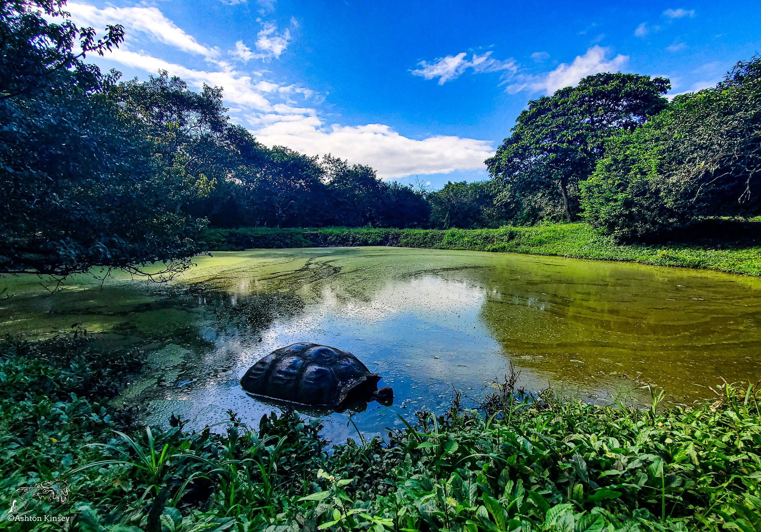 El Chato Tortoise Reserve-20.jpg