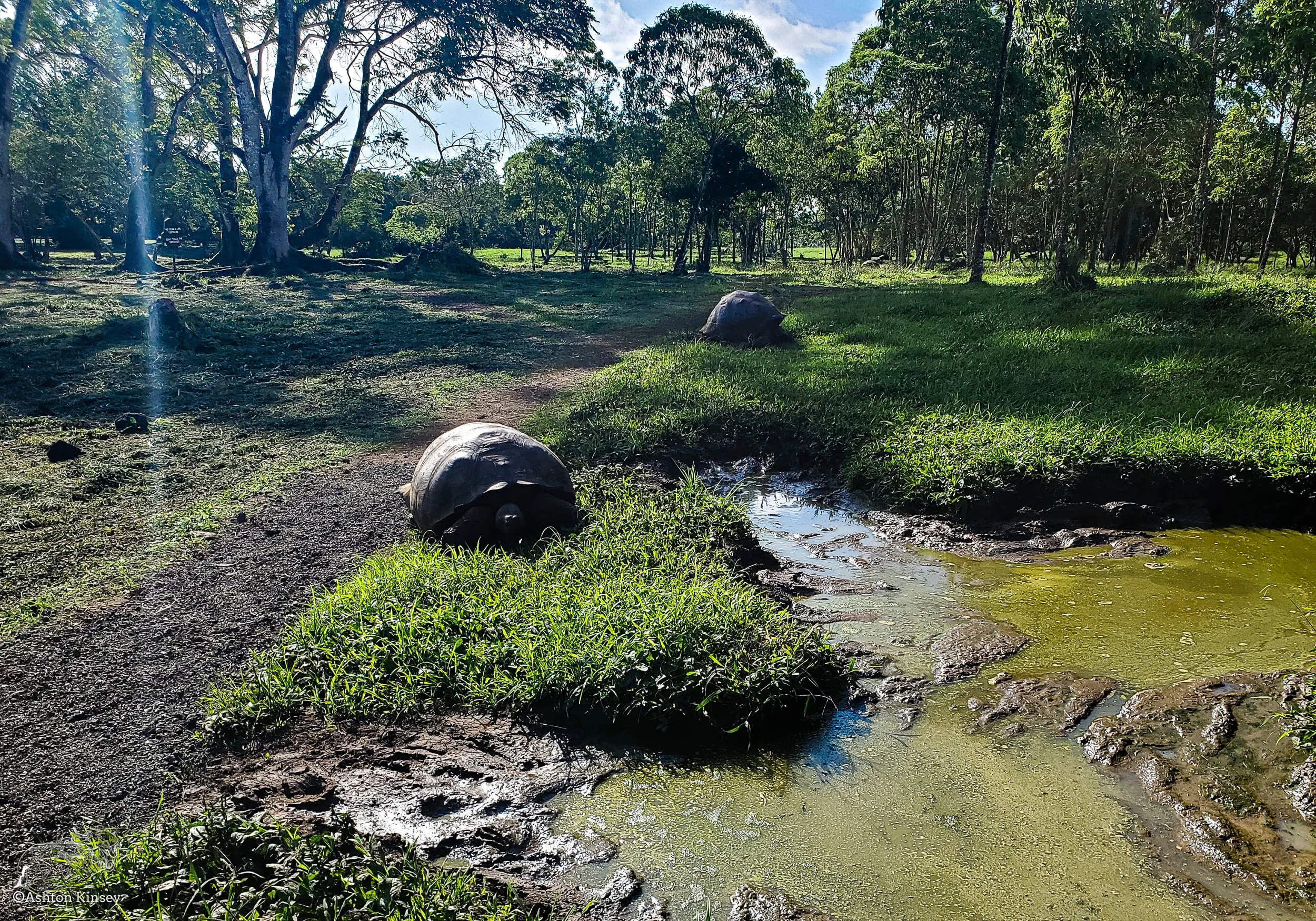 El Chato Tortoise Reserve-25.jpg