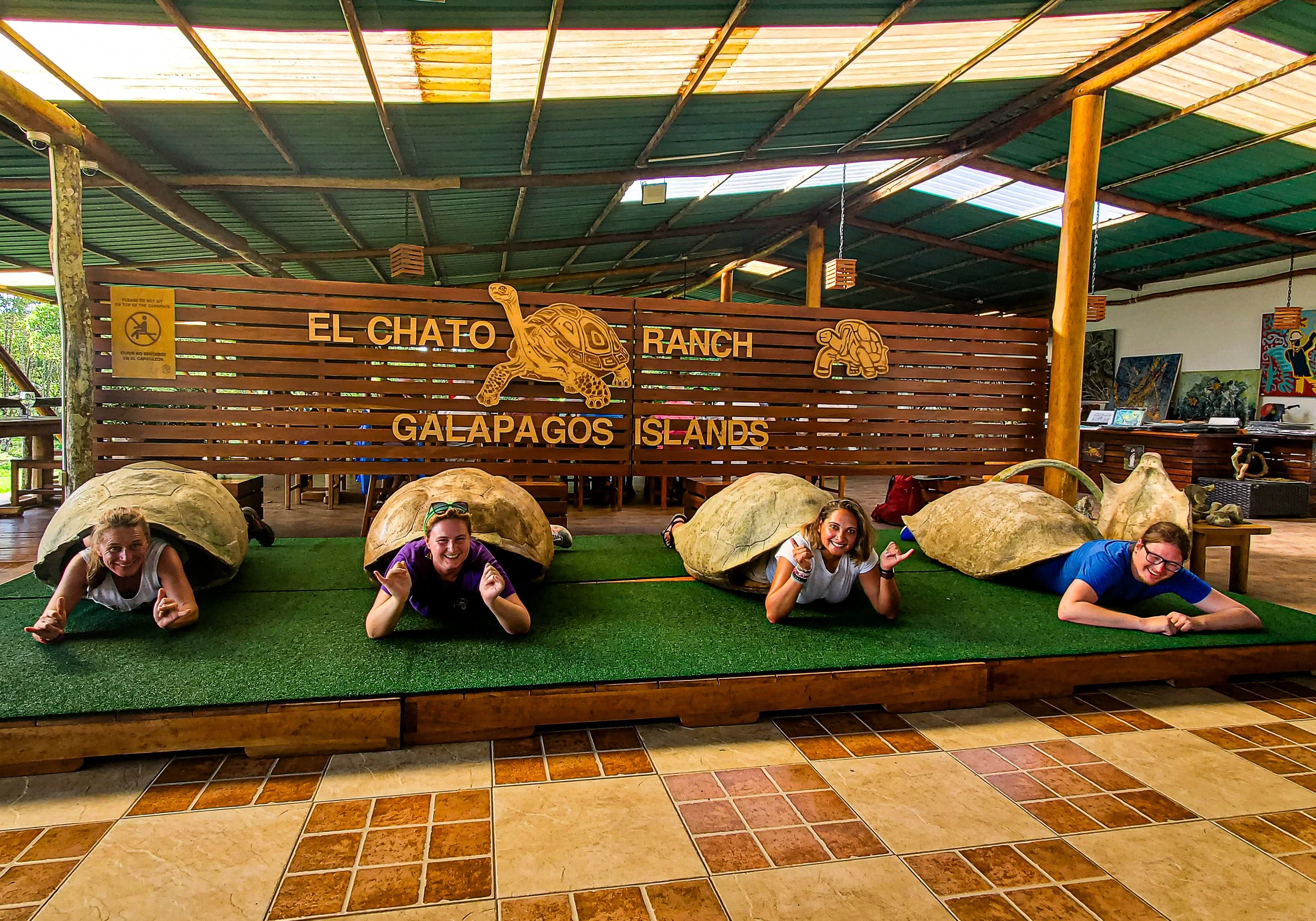 El Chato Tortoise Reserve-26.jpg