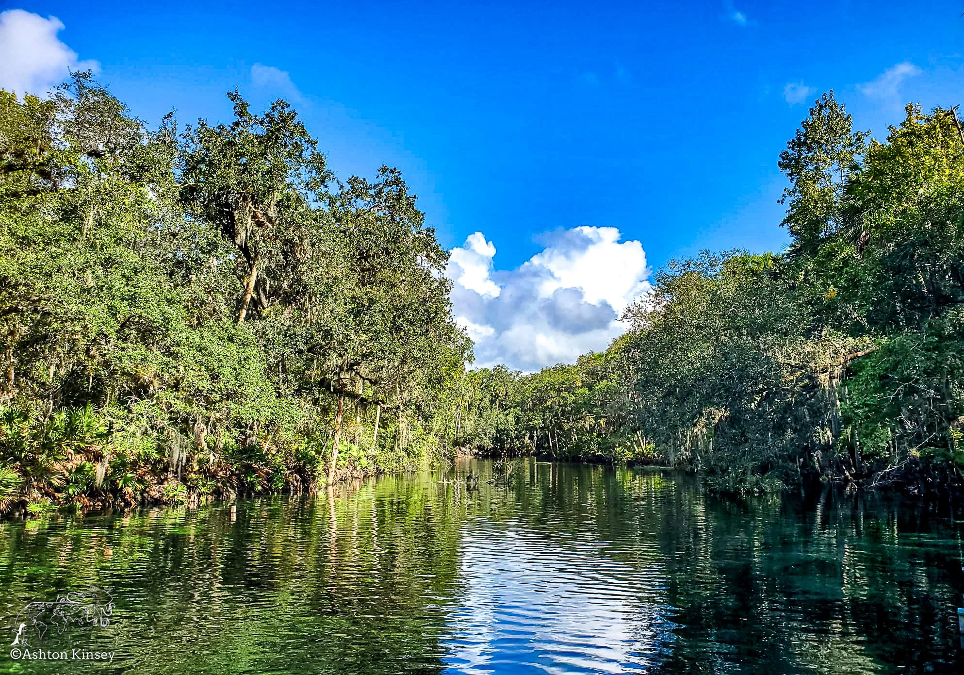 Blue Springs-1.jpg