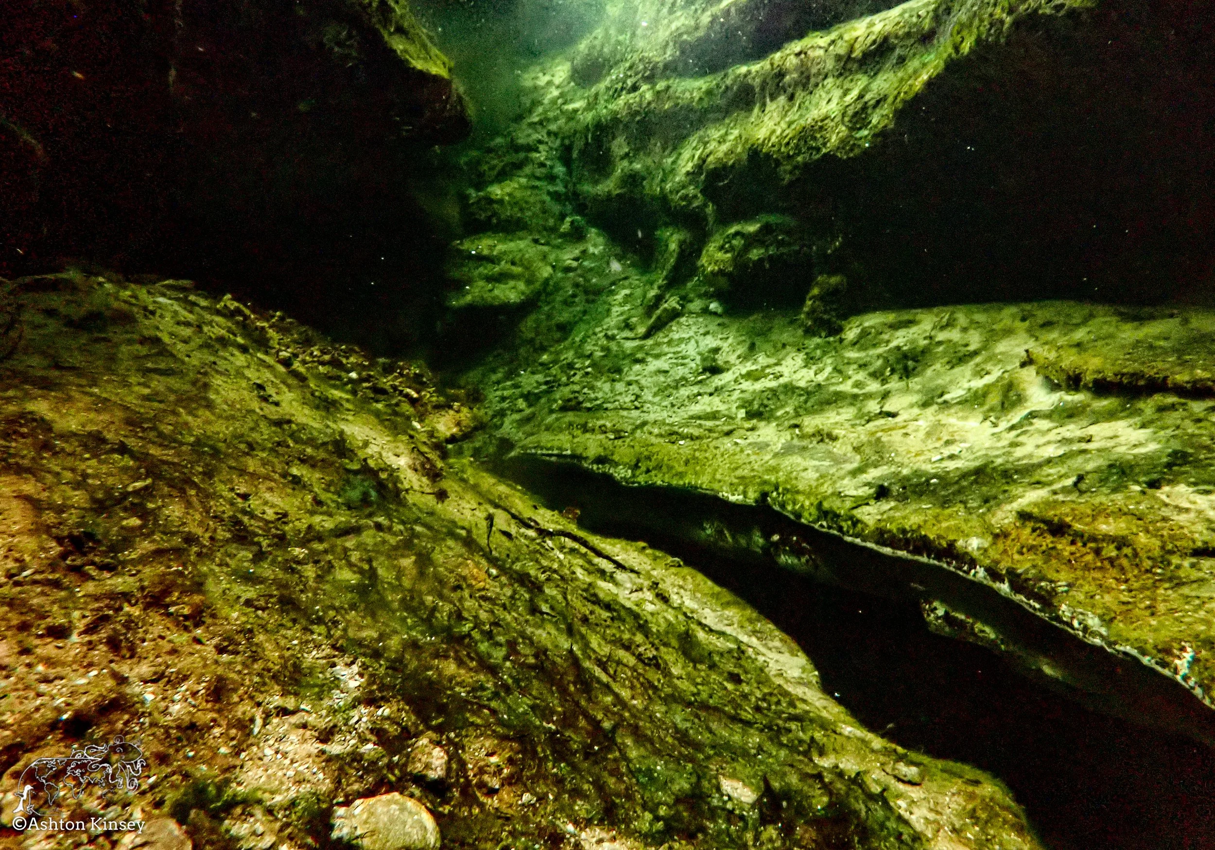 Blue Springs-6.jpg
