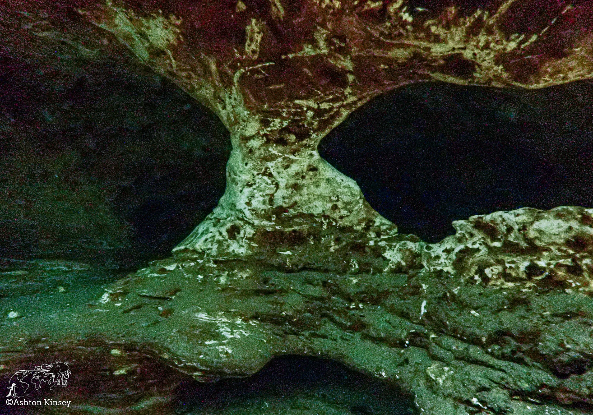 Blue Springs-7.jpg
