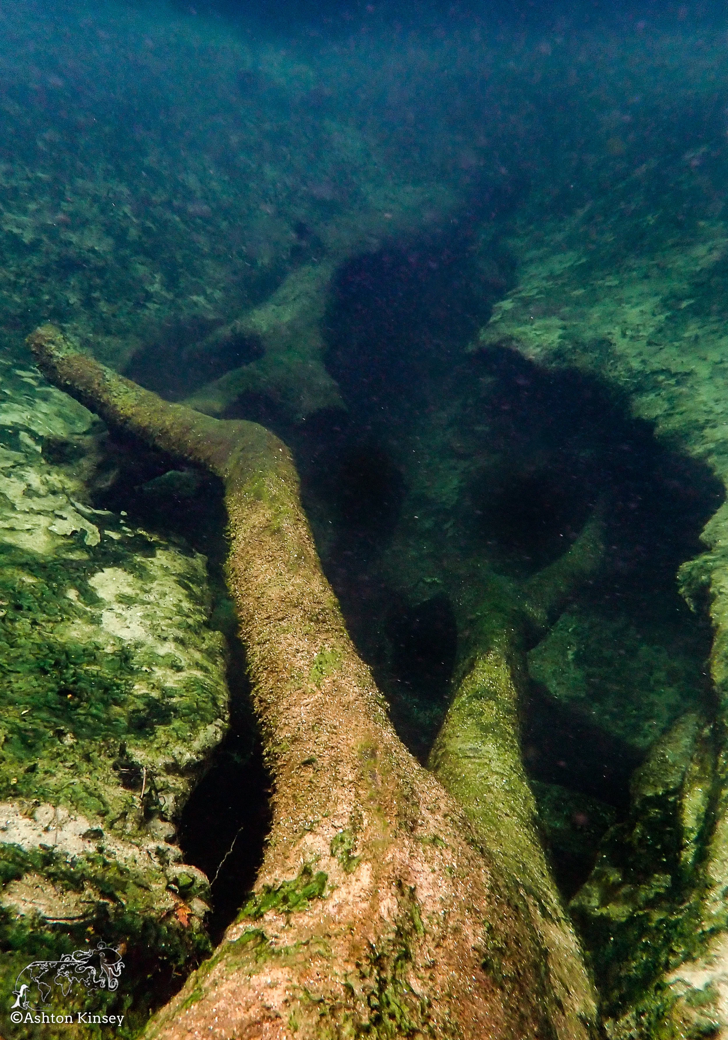 Blue Springs-10.jpg
