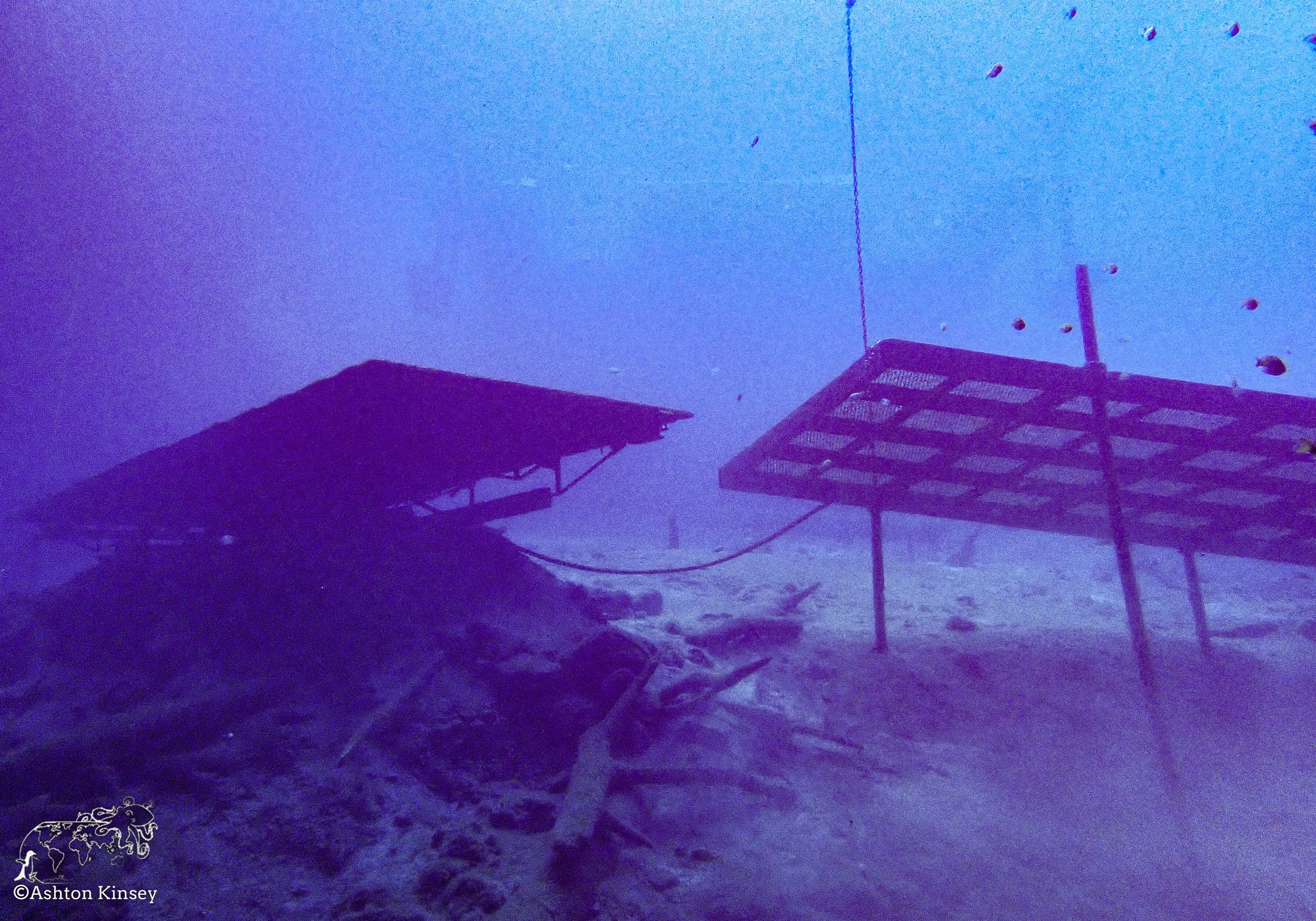 Blue Grotto-1.jpg