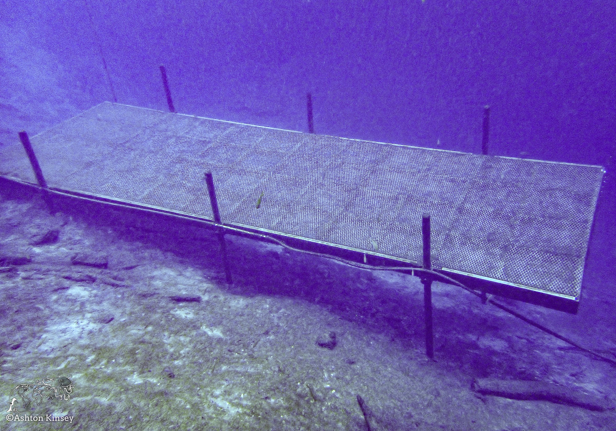 Blue Grotto.jpg