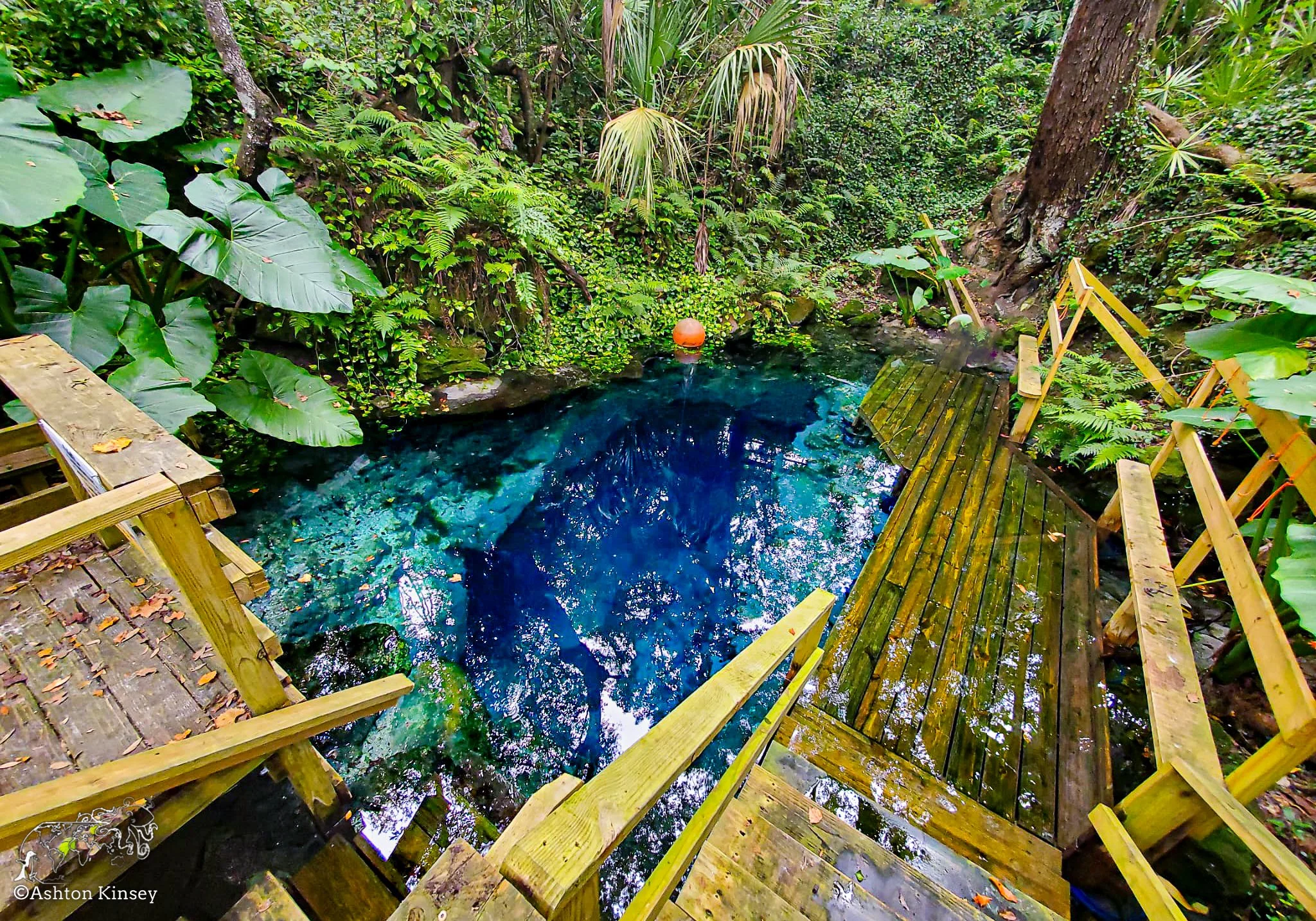 Paradise Springs-2.jpg