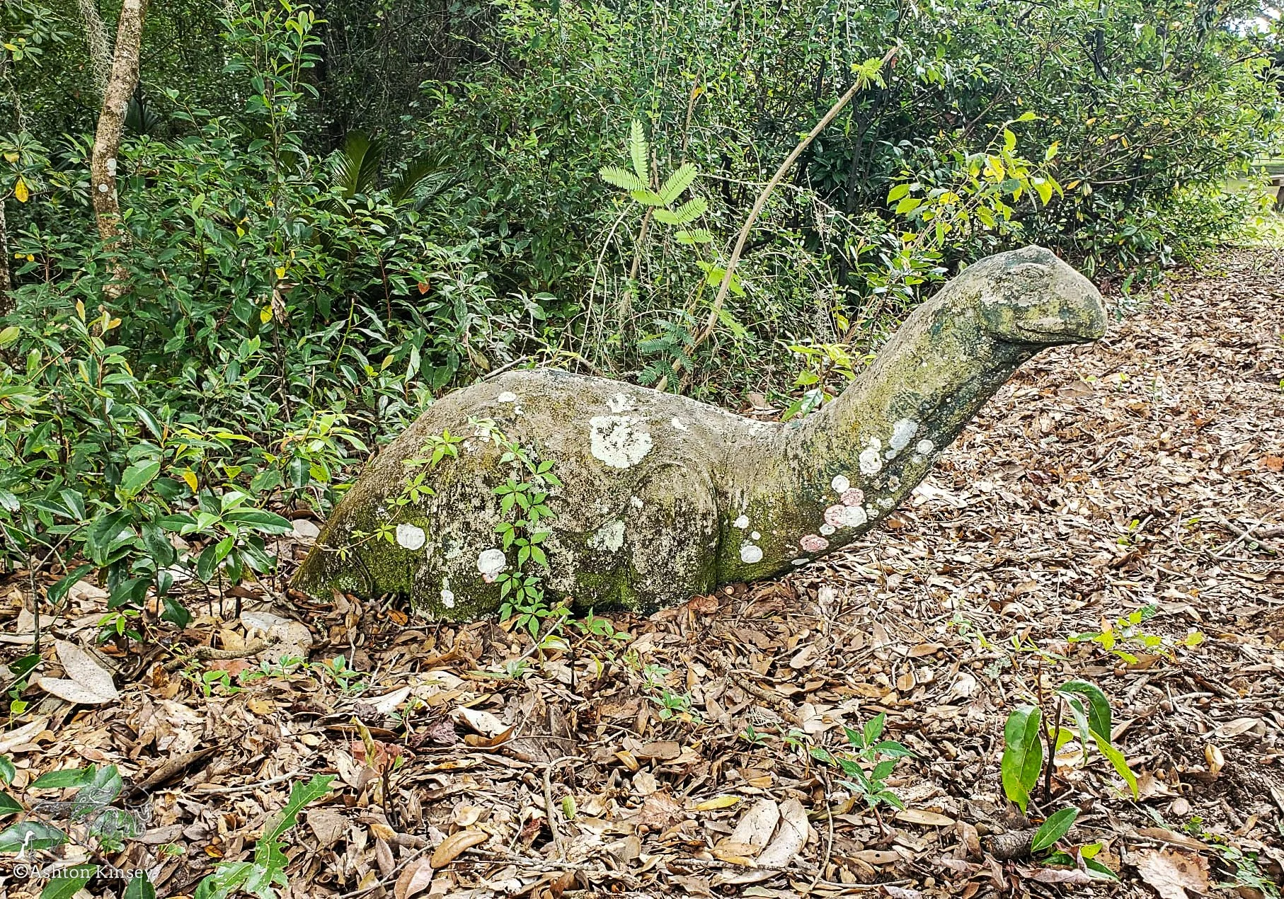 Paradise Springs-4.jpg