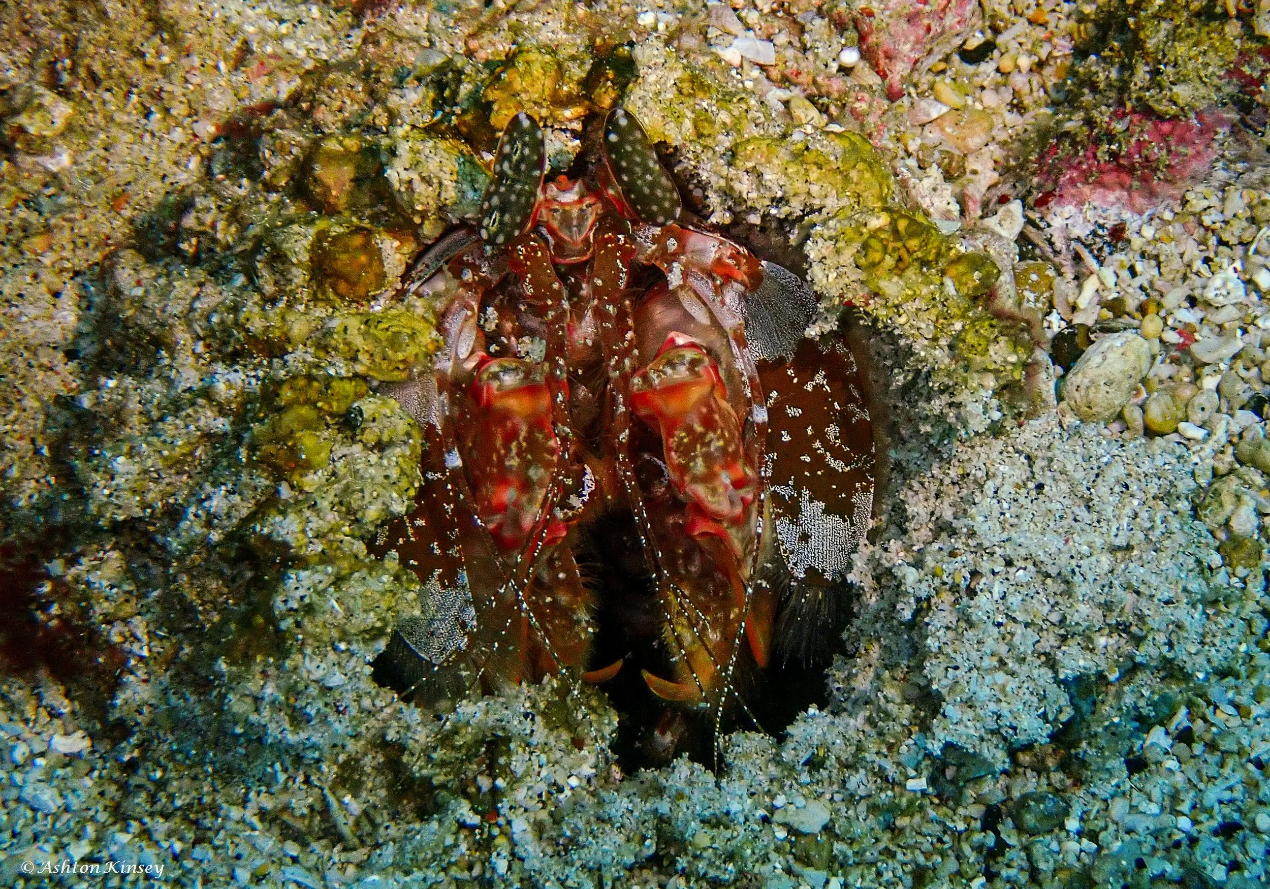 Dungon Wall-13.jpg