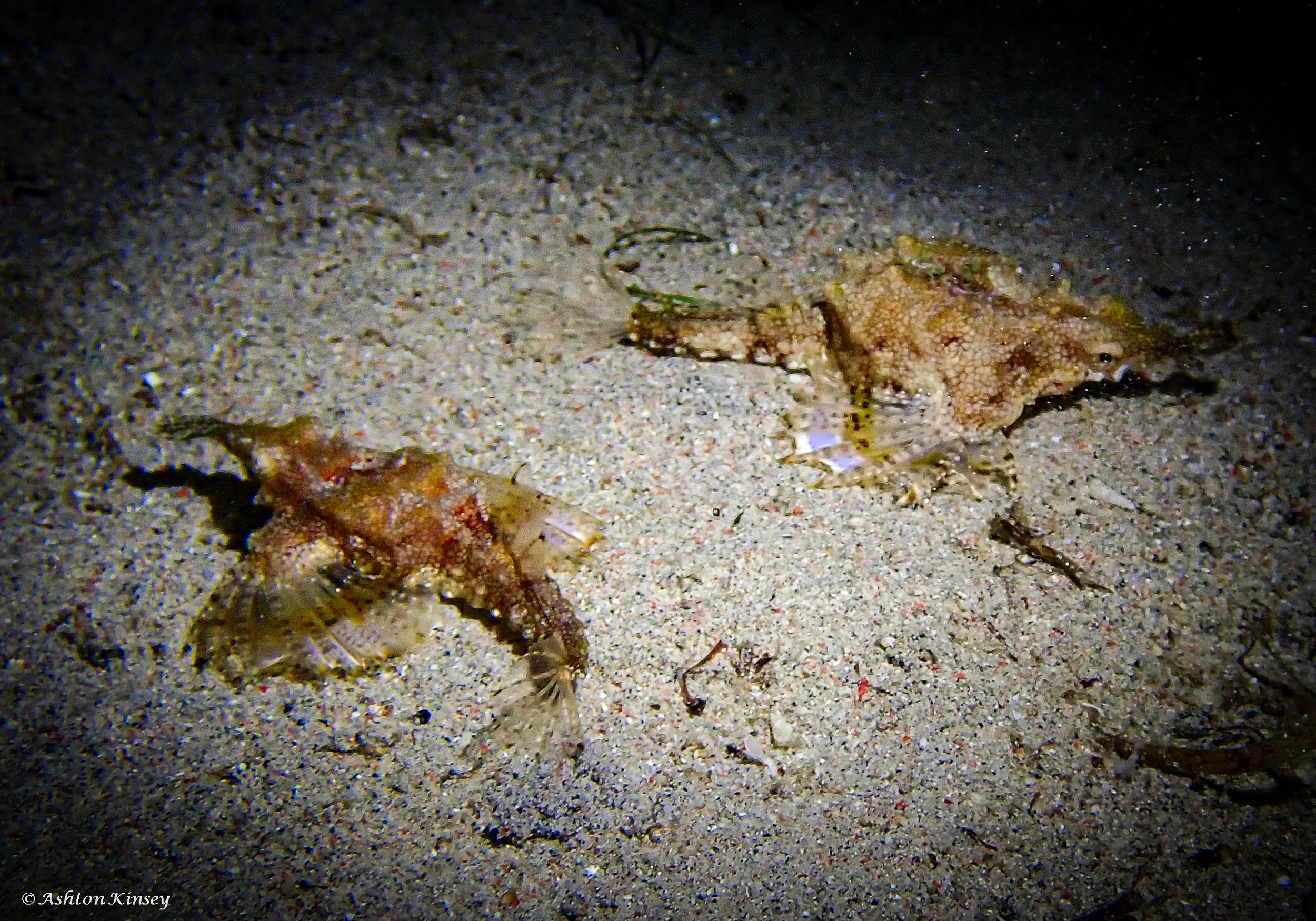 sabalang bay-11.jpg