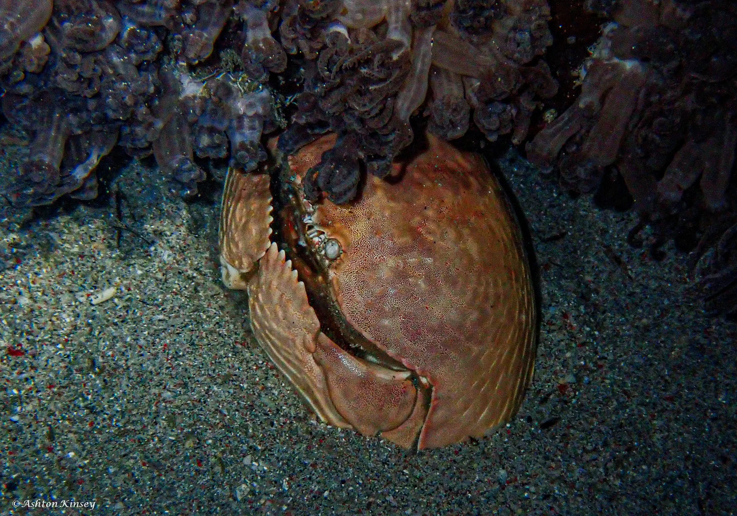 sabalang bay-10.jpg