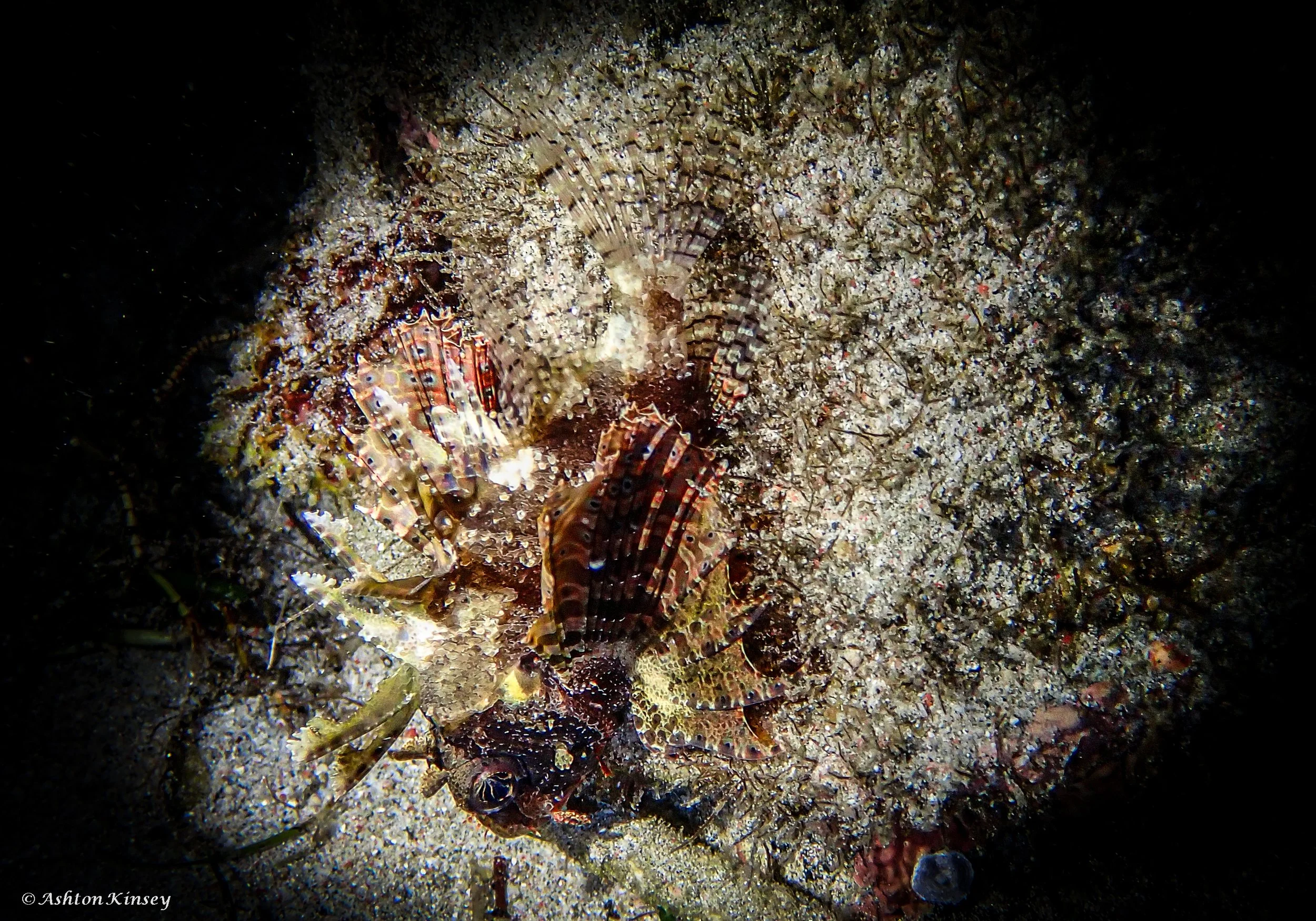 sabalang bay-12.jpg