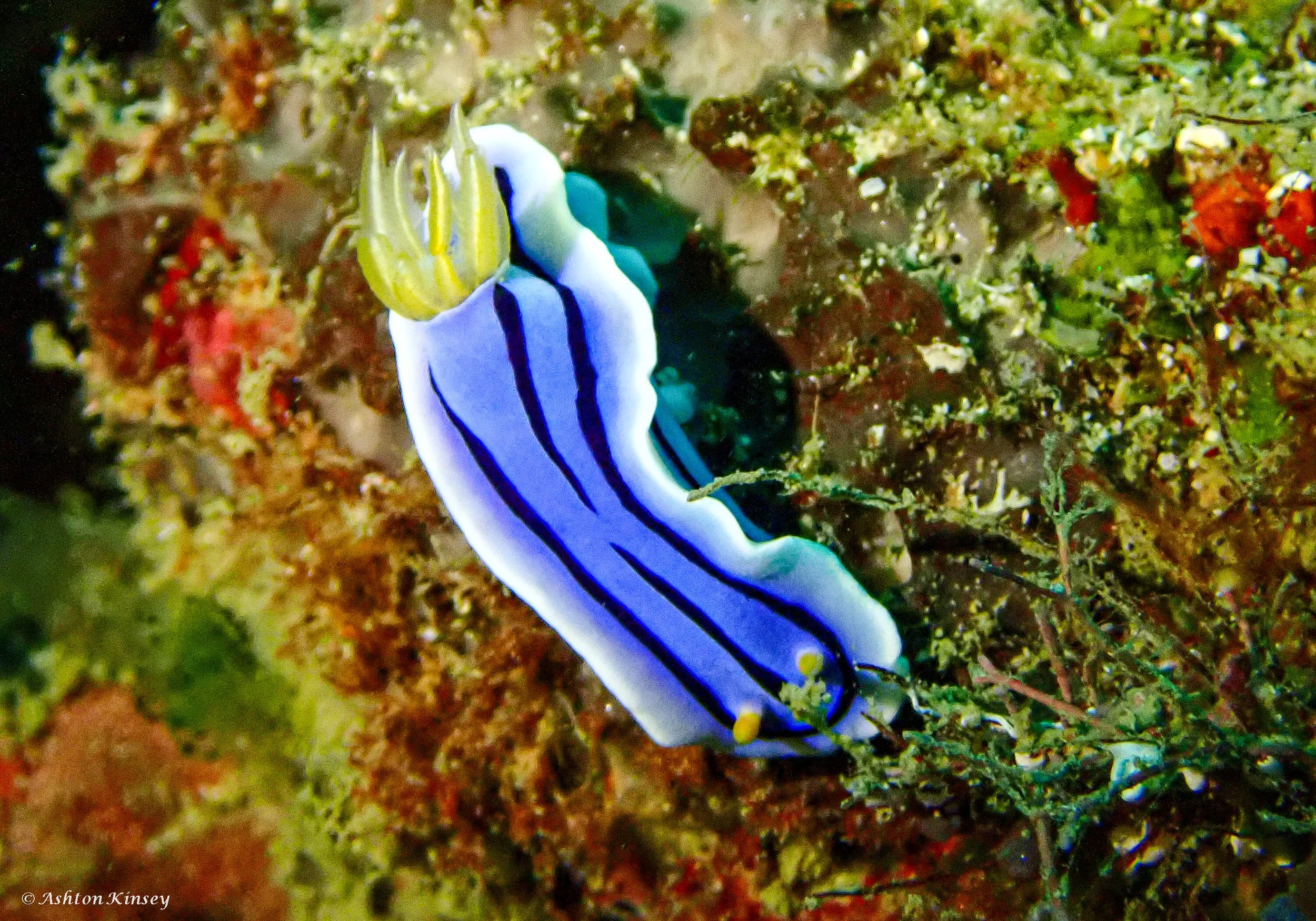 sinandigan wall-9.jpg