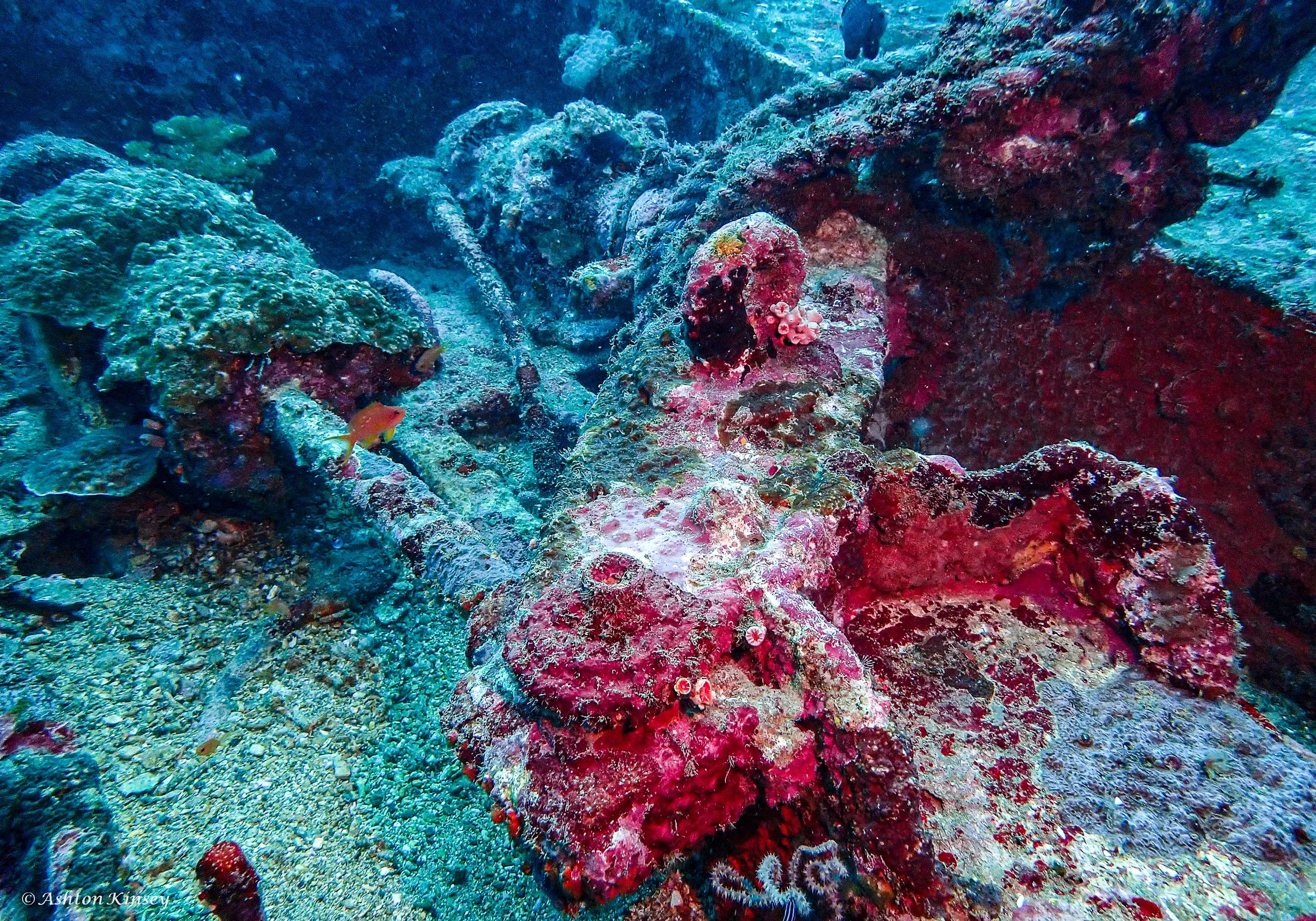 Alma Jane wreck -3.jpg