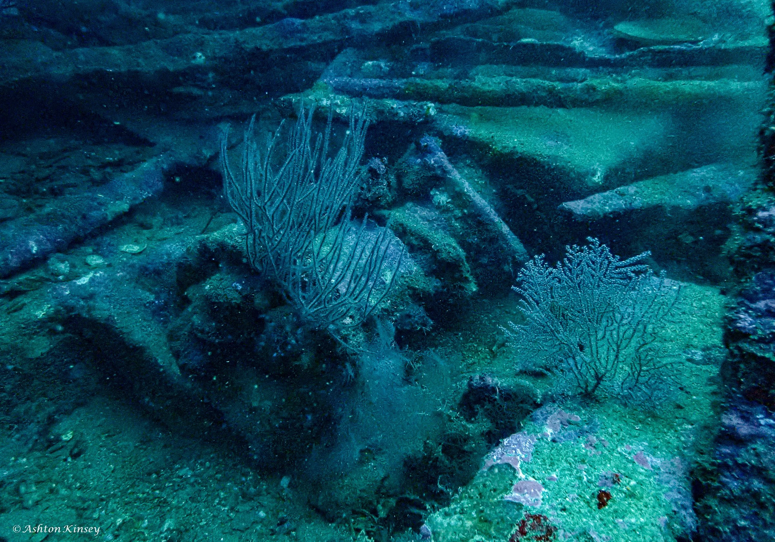 Alma Jane wreck -5.jpg