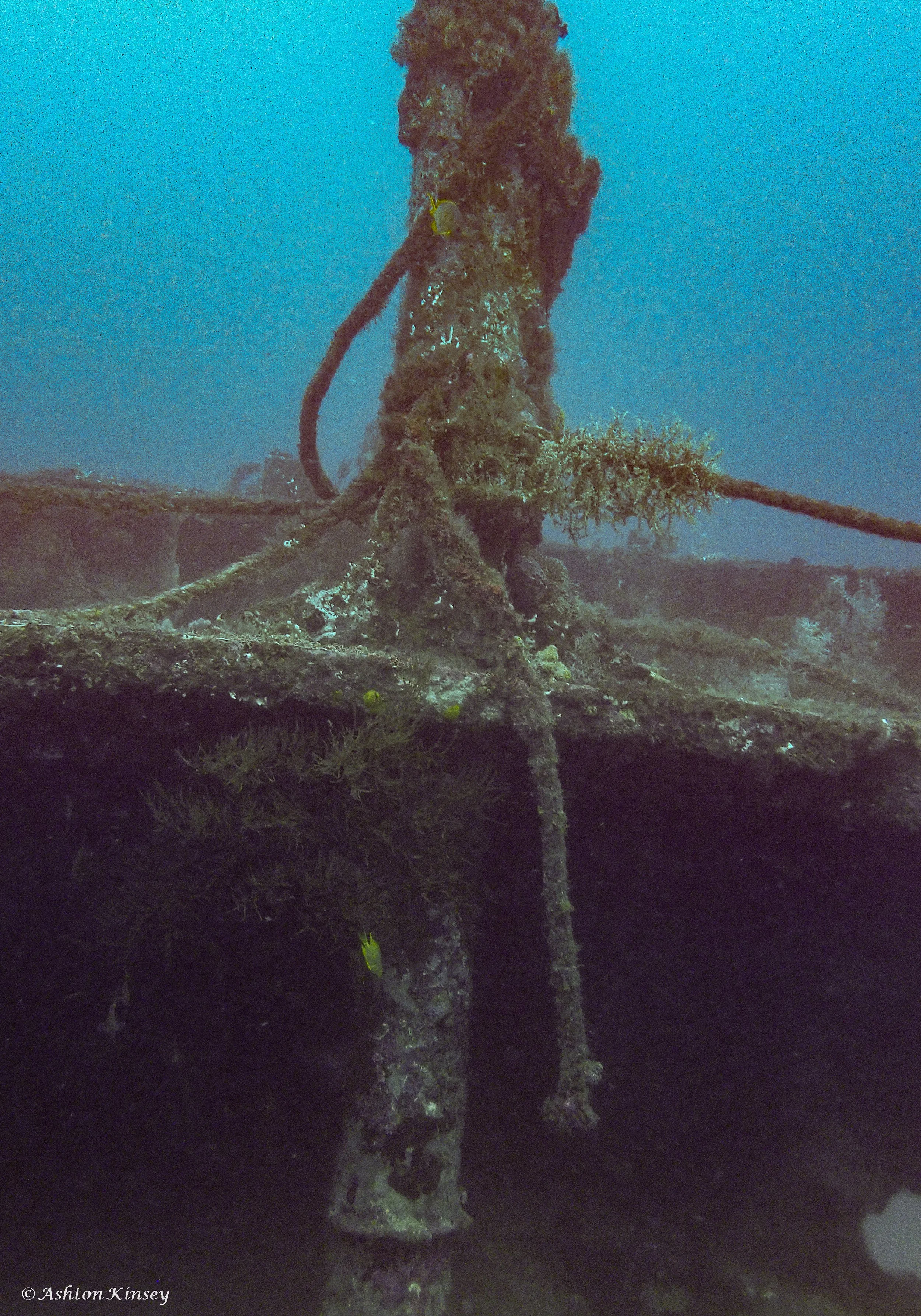 Alma Jane wreck -8.jpg