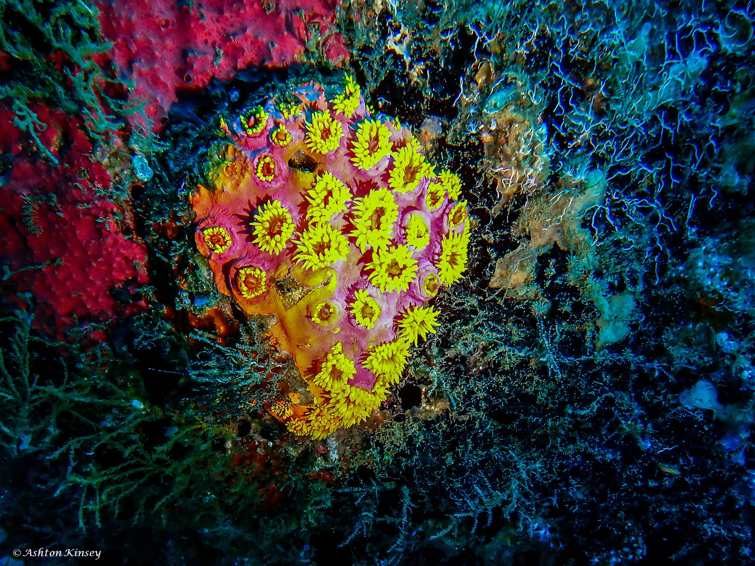 Alma Jane wreck -13.jpg