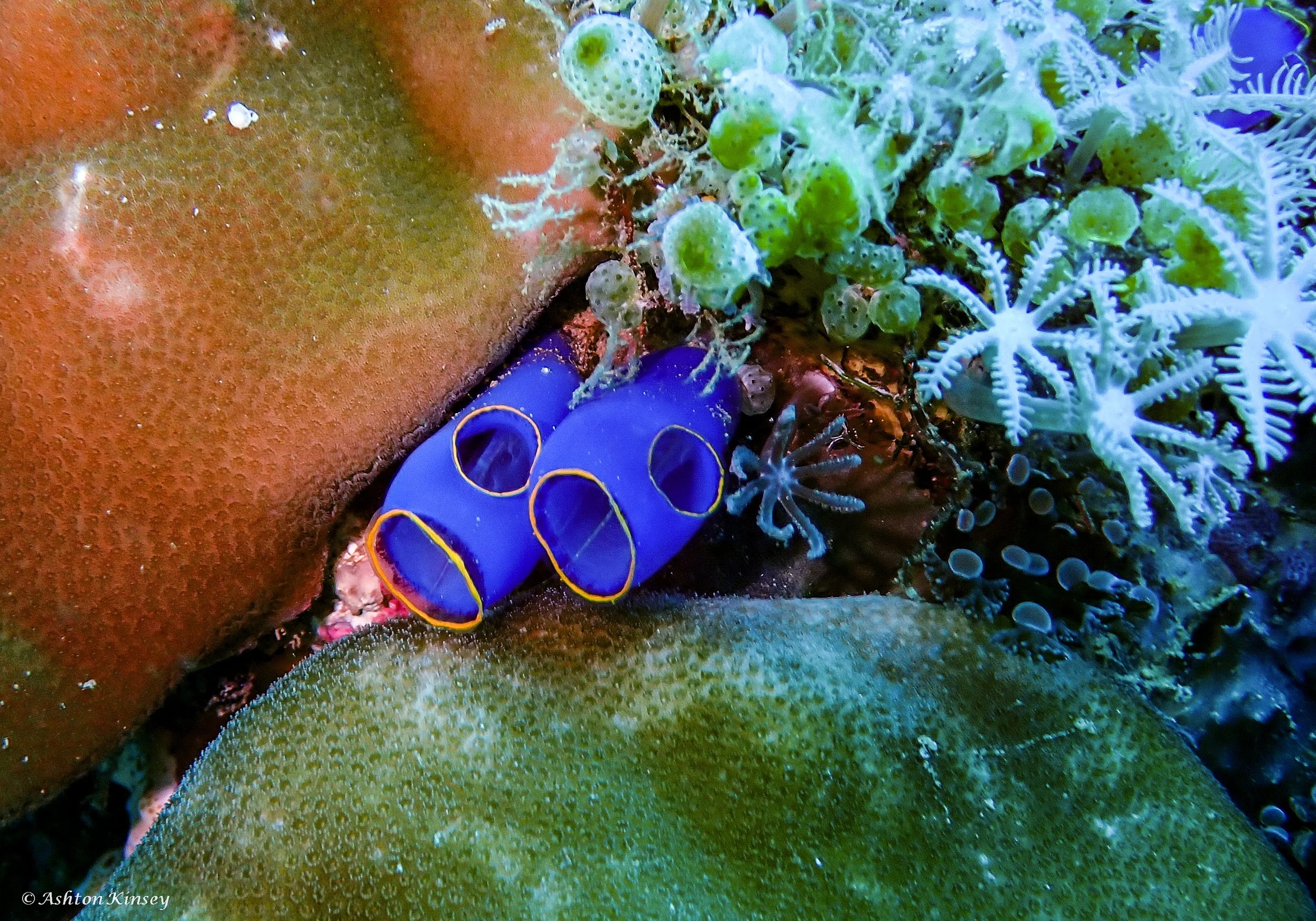 Sabang Wrecks-2.jpg
