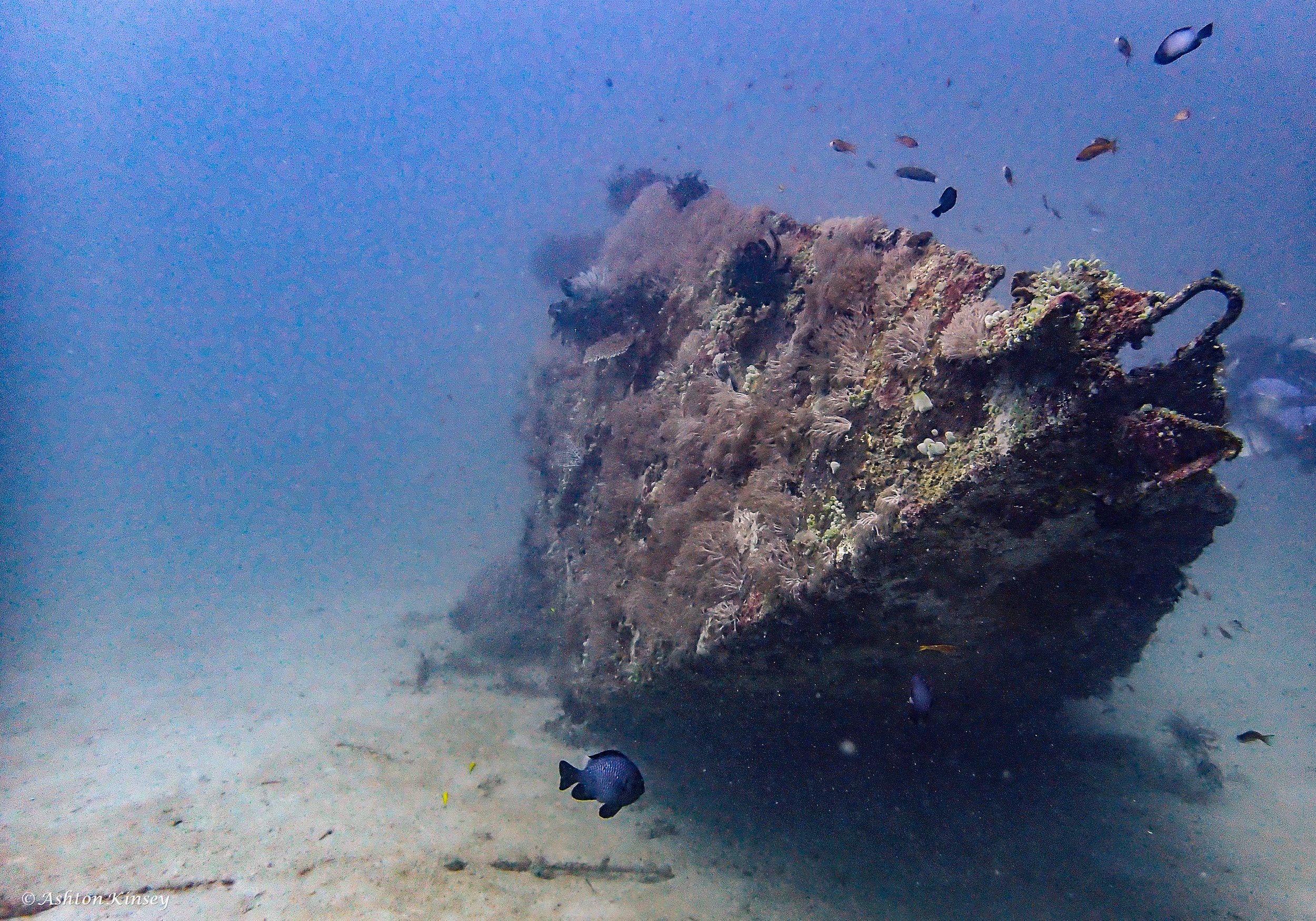 Sabang Wrecks-5.jpg