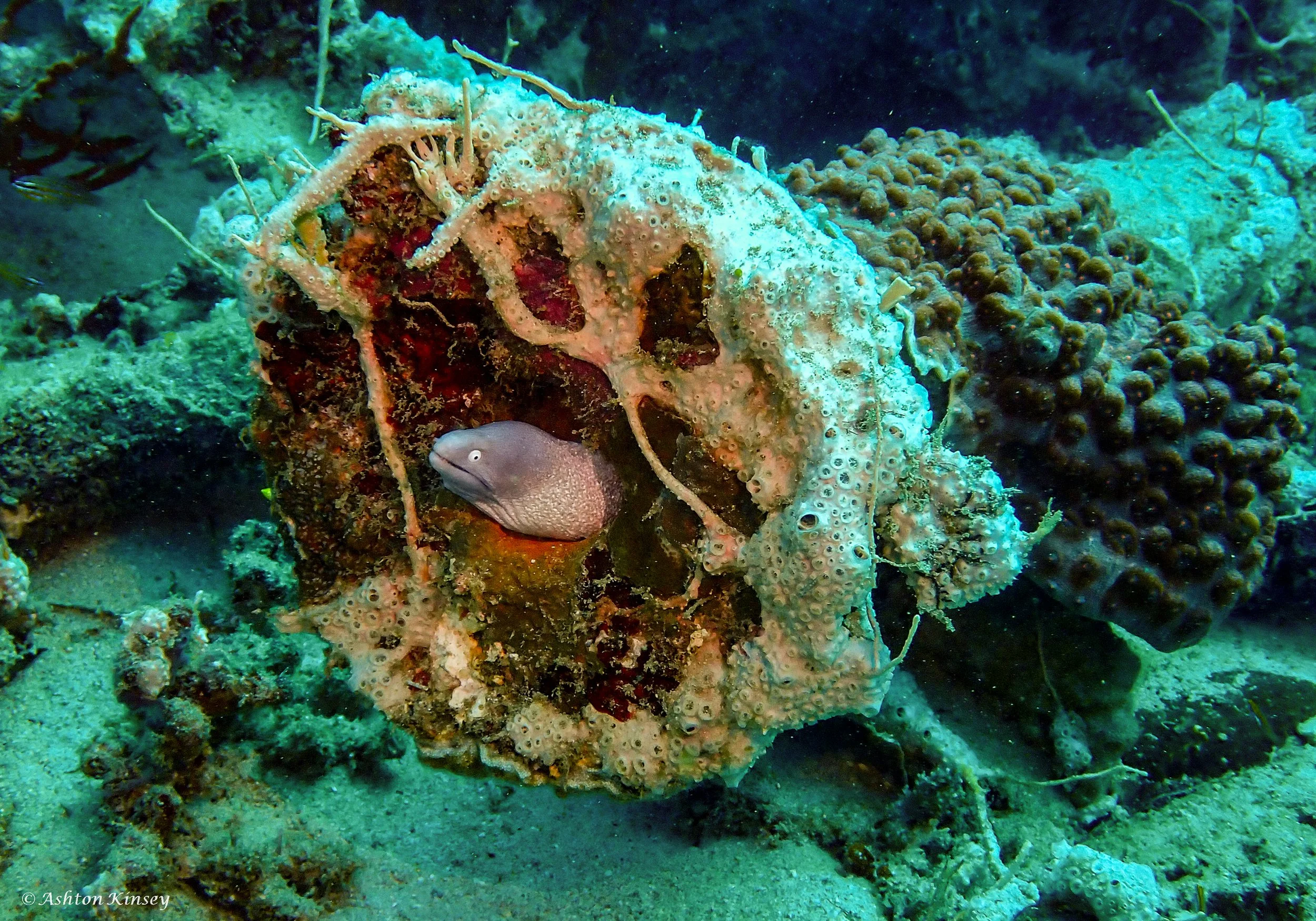 Sabang Wrecks-9.jpg