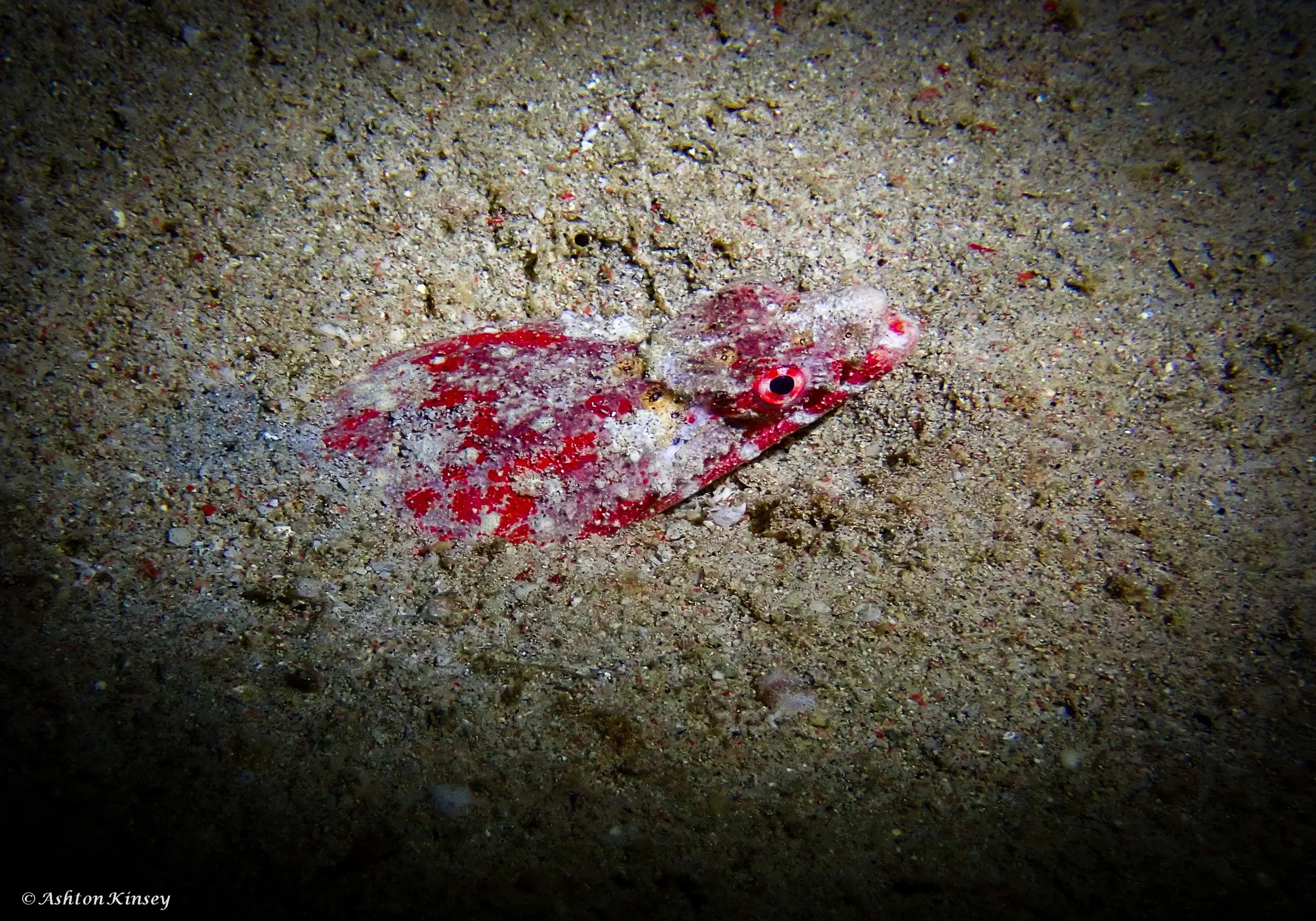 sabalang Wrecks night-12.jpg