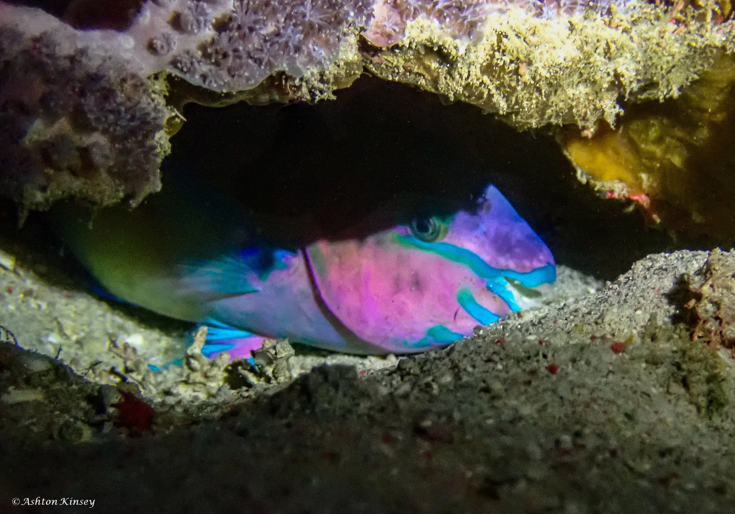 sabalang Wrecks night-14.jpg