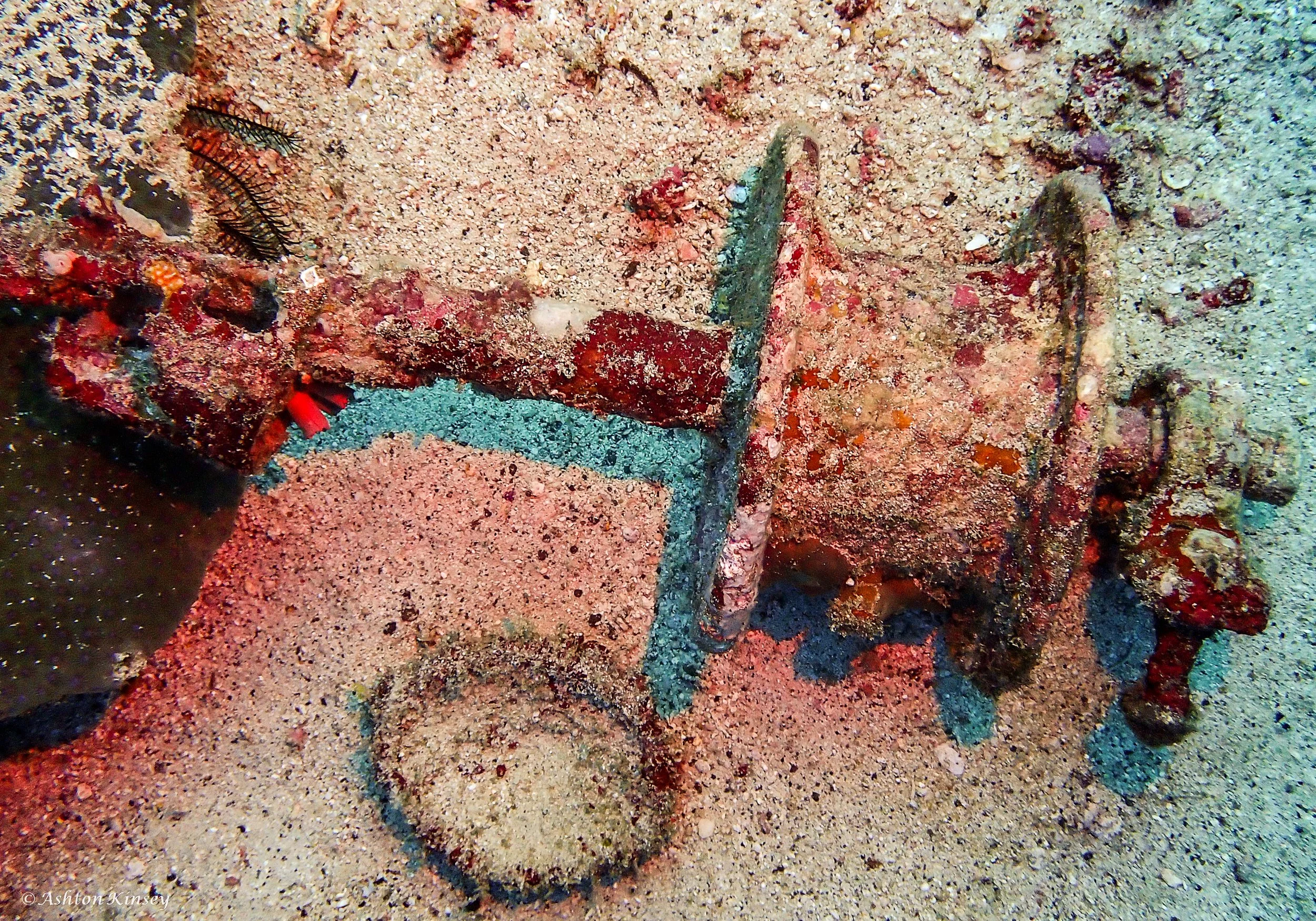 Lalaguna Point-7.jpg