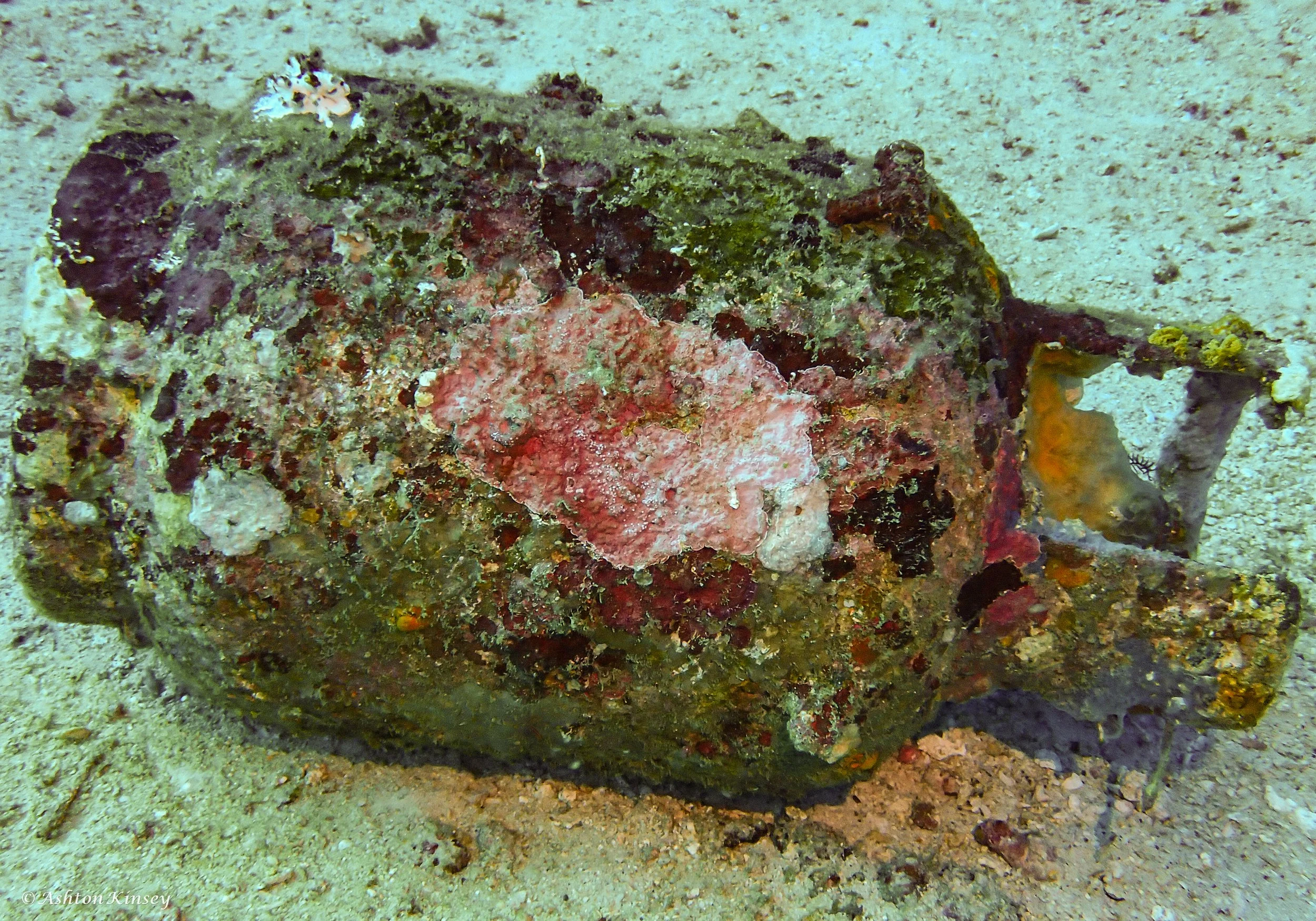 Lalaguna Point-13.jpg