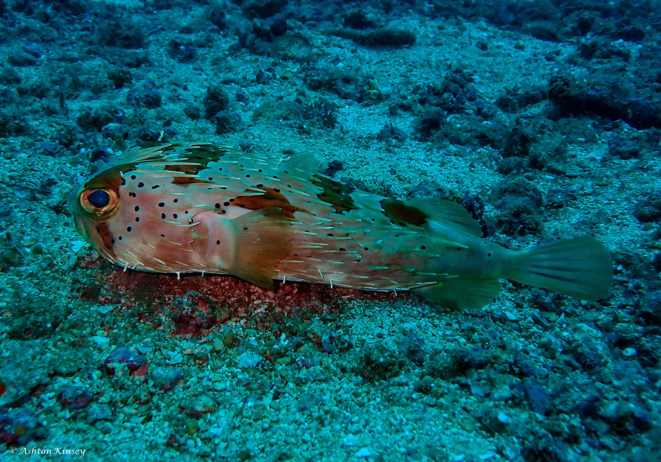 Coral Cove-10.jpg