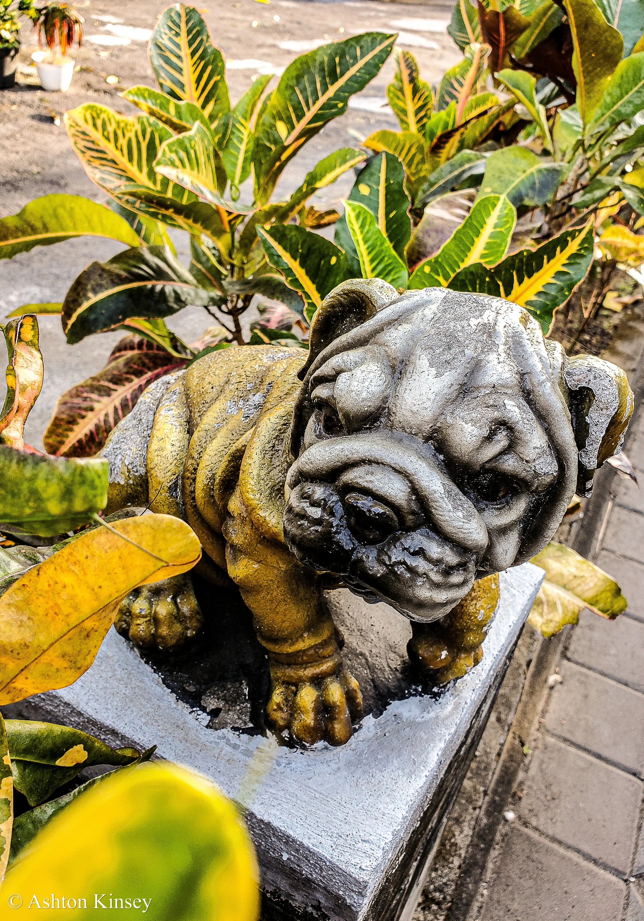 Around Bali.jpg