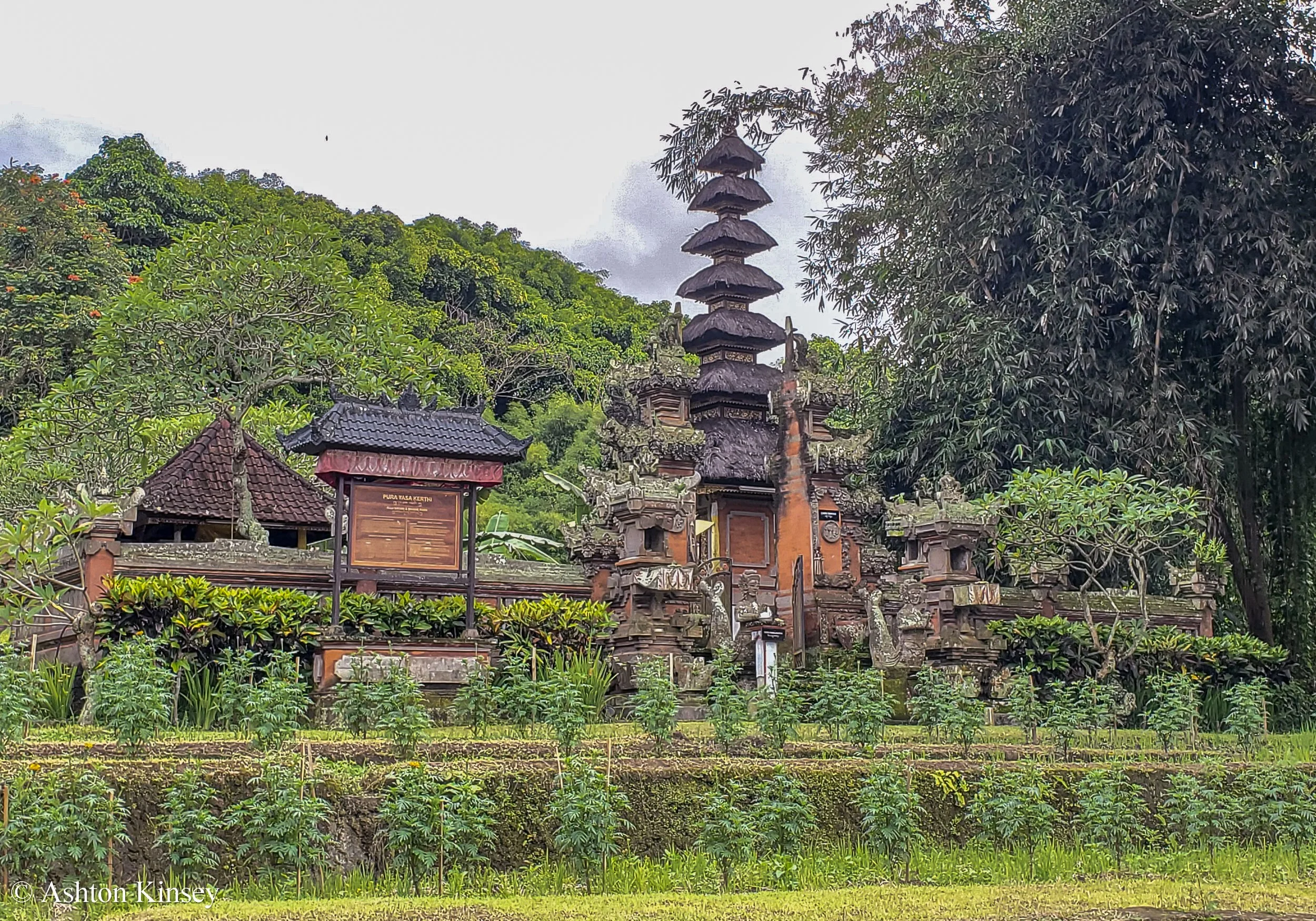 Bali Safari-1.jpg