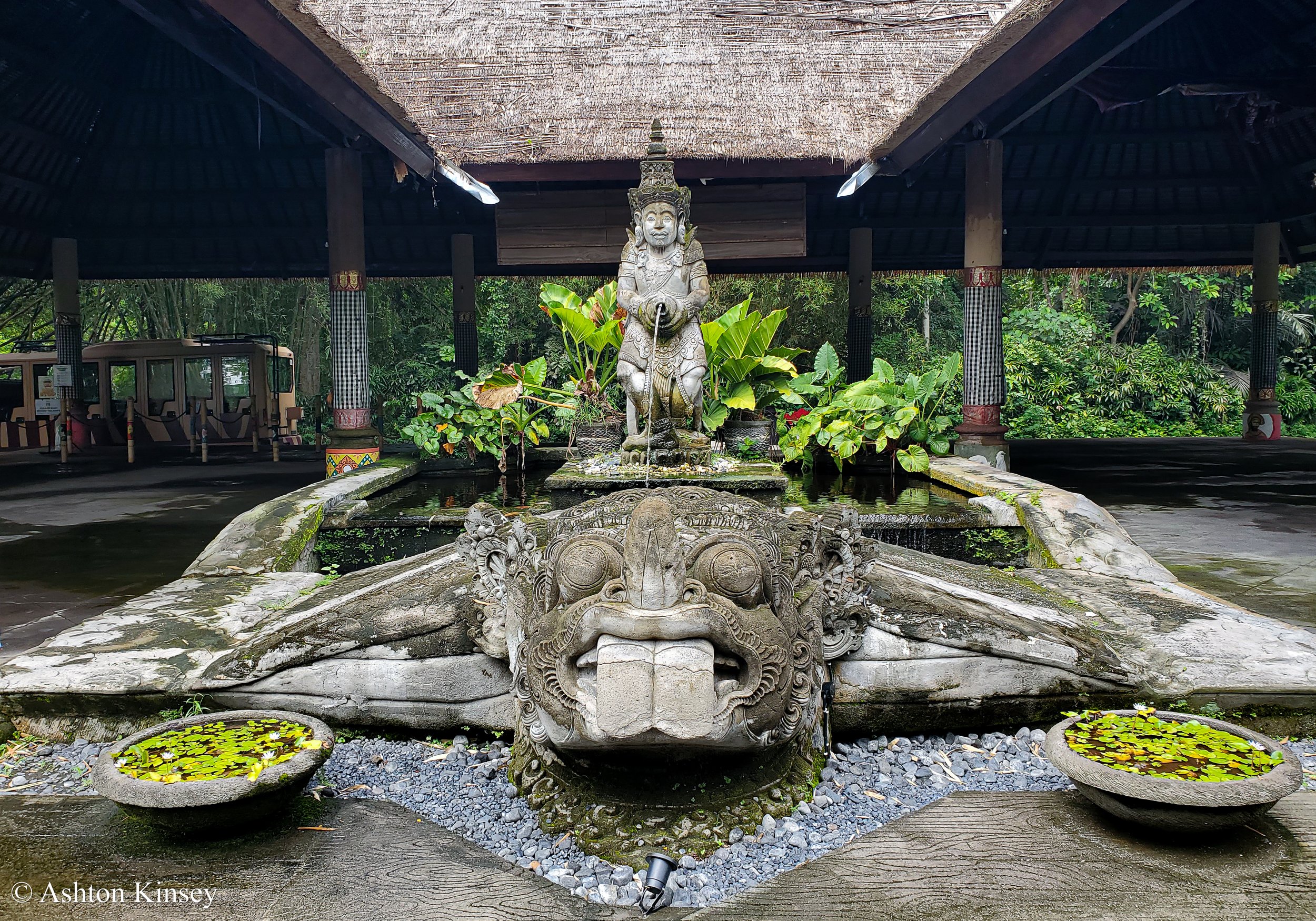 Bali Safari.jpg