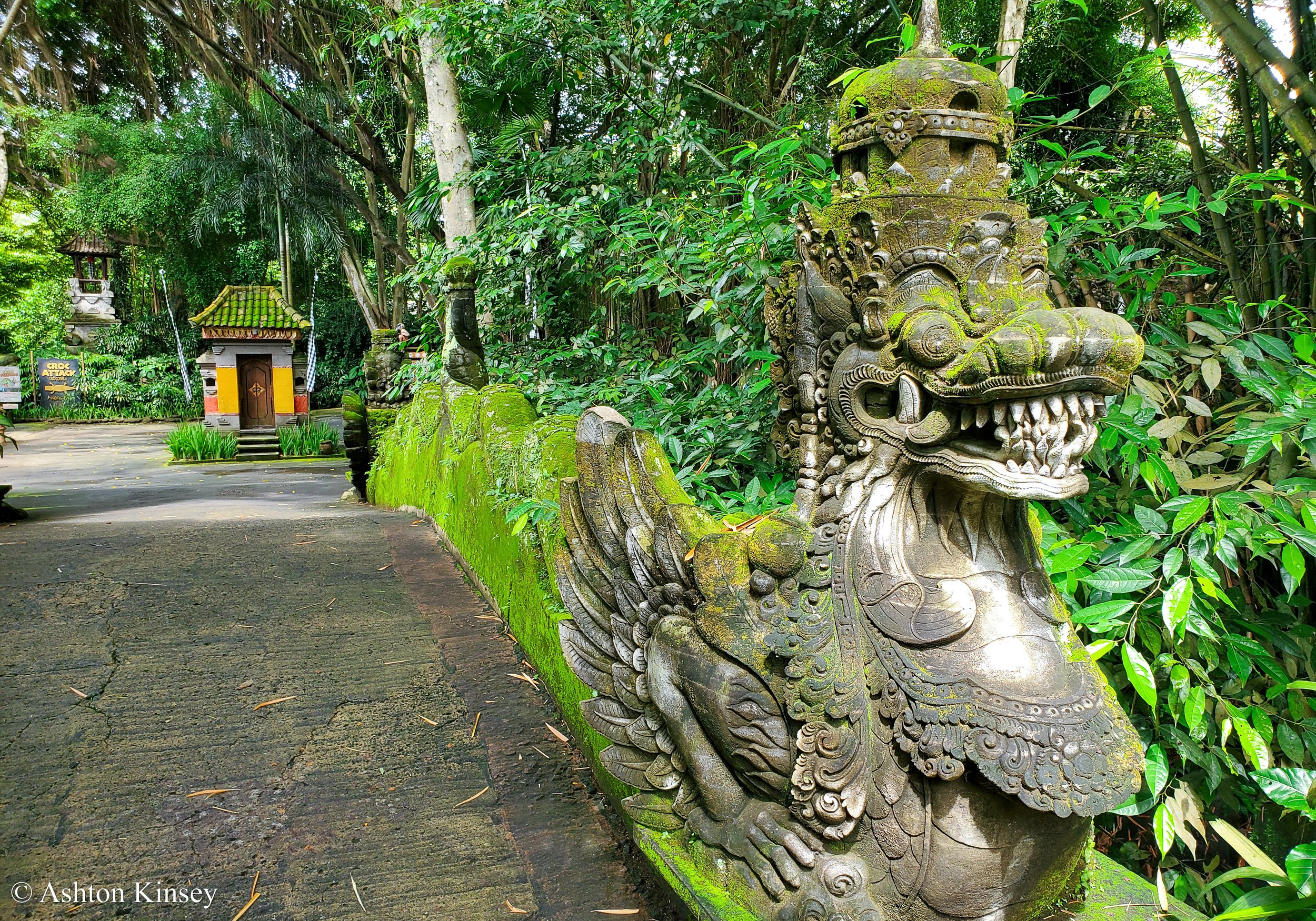Bali Safari-3.jpg