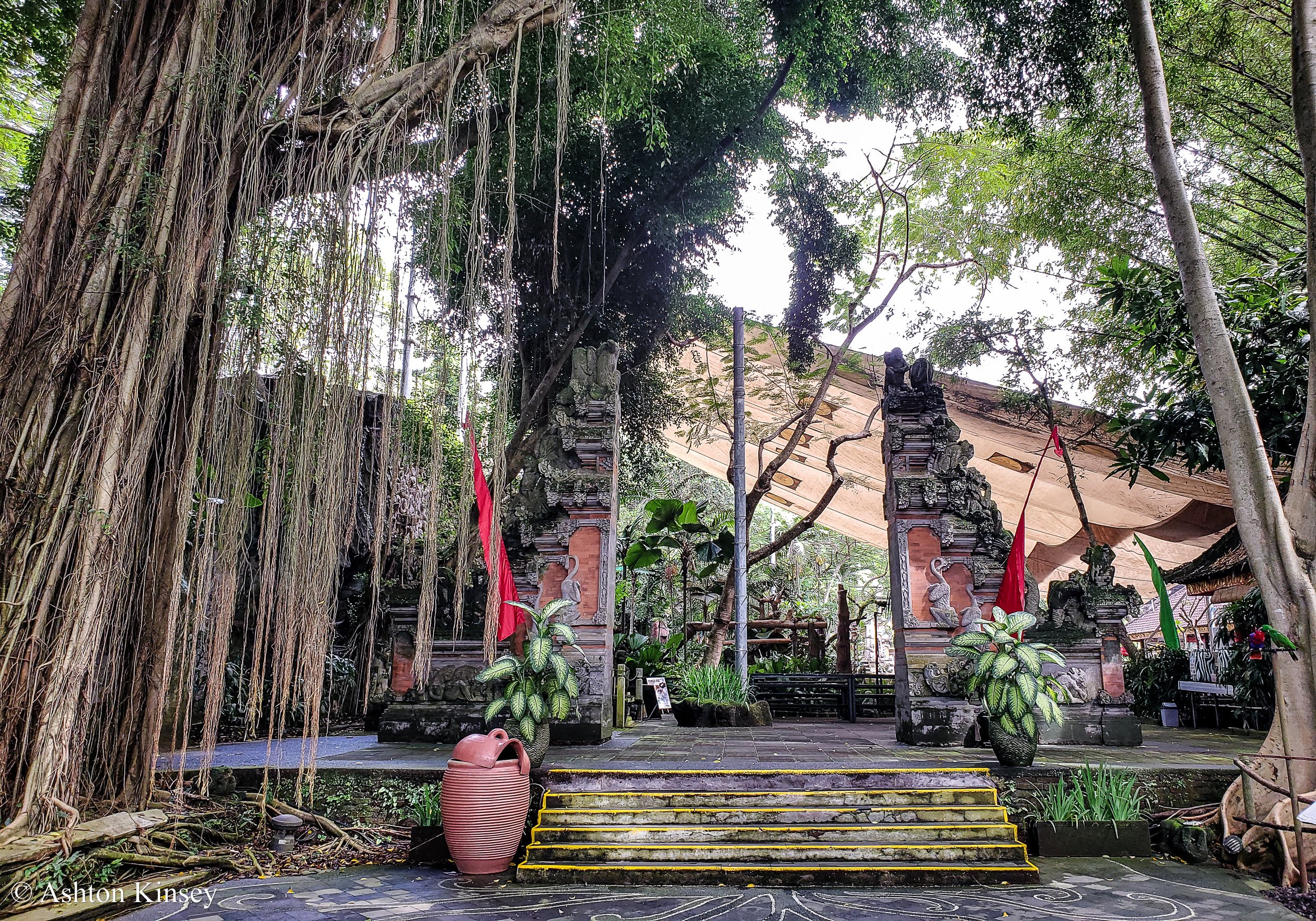 Bali Safari-4.jpg