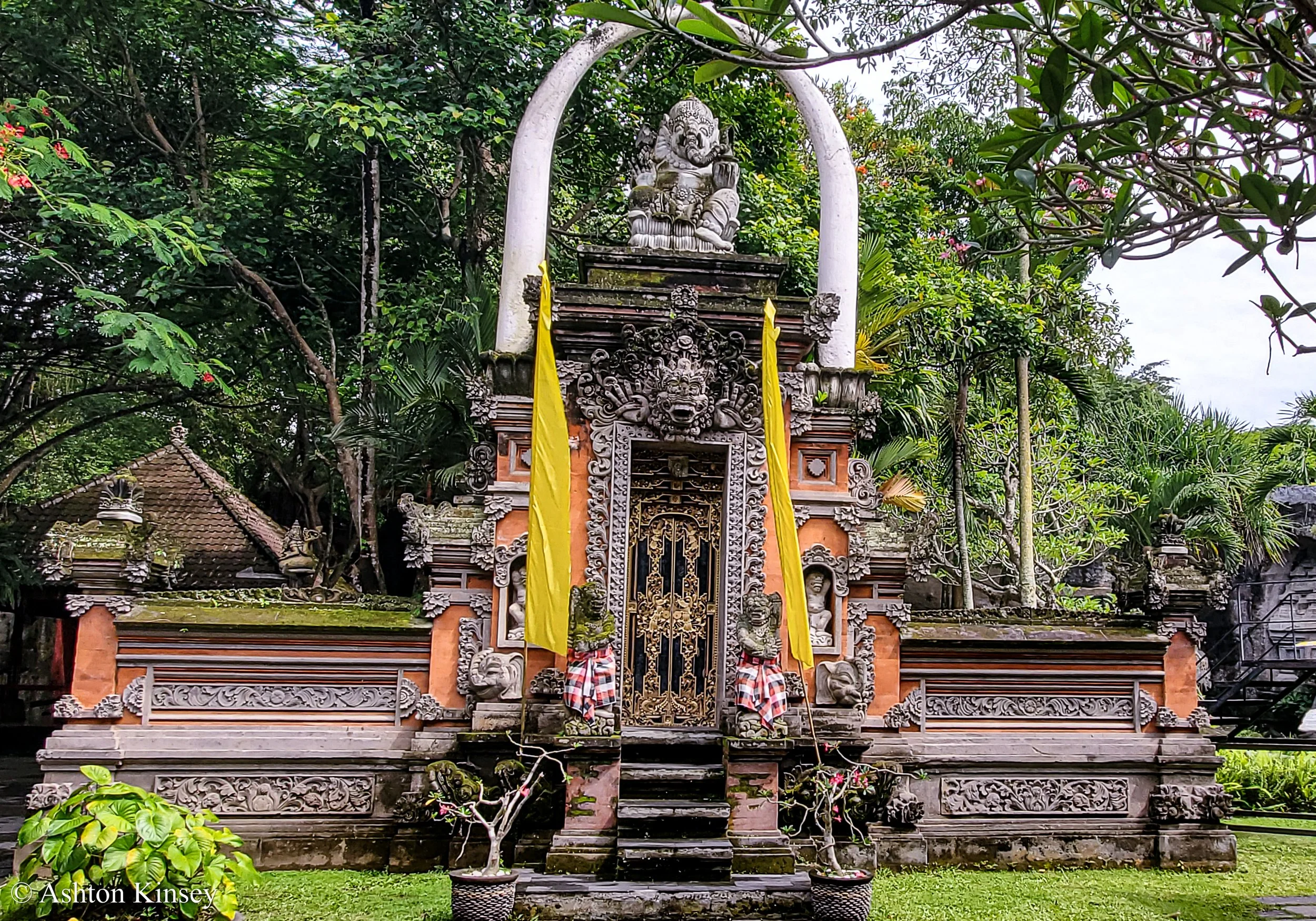Bali Safari-5.jpg