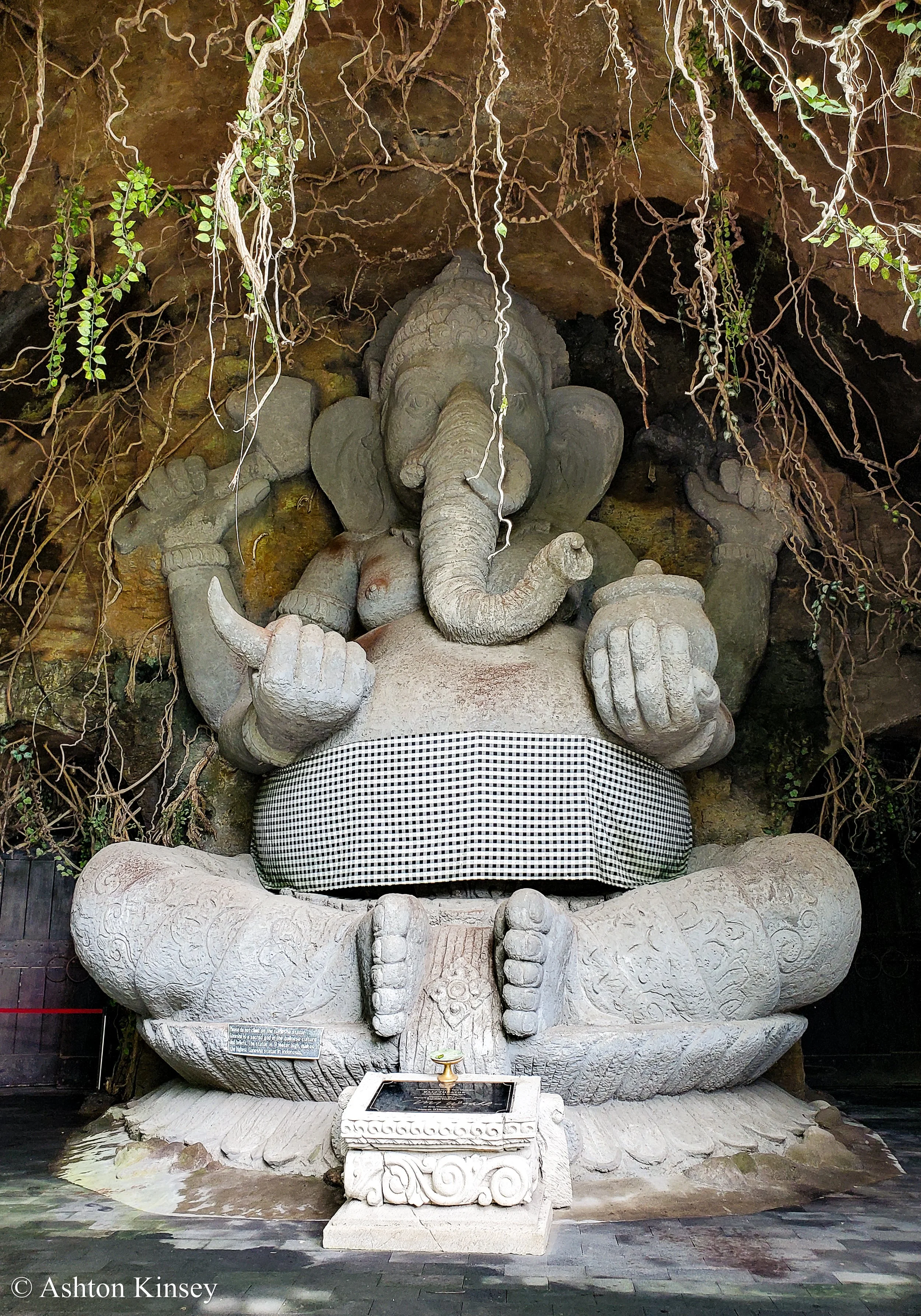 Bali Safari-6.jpg