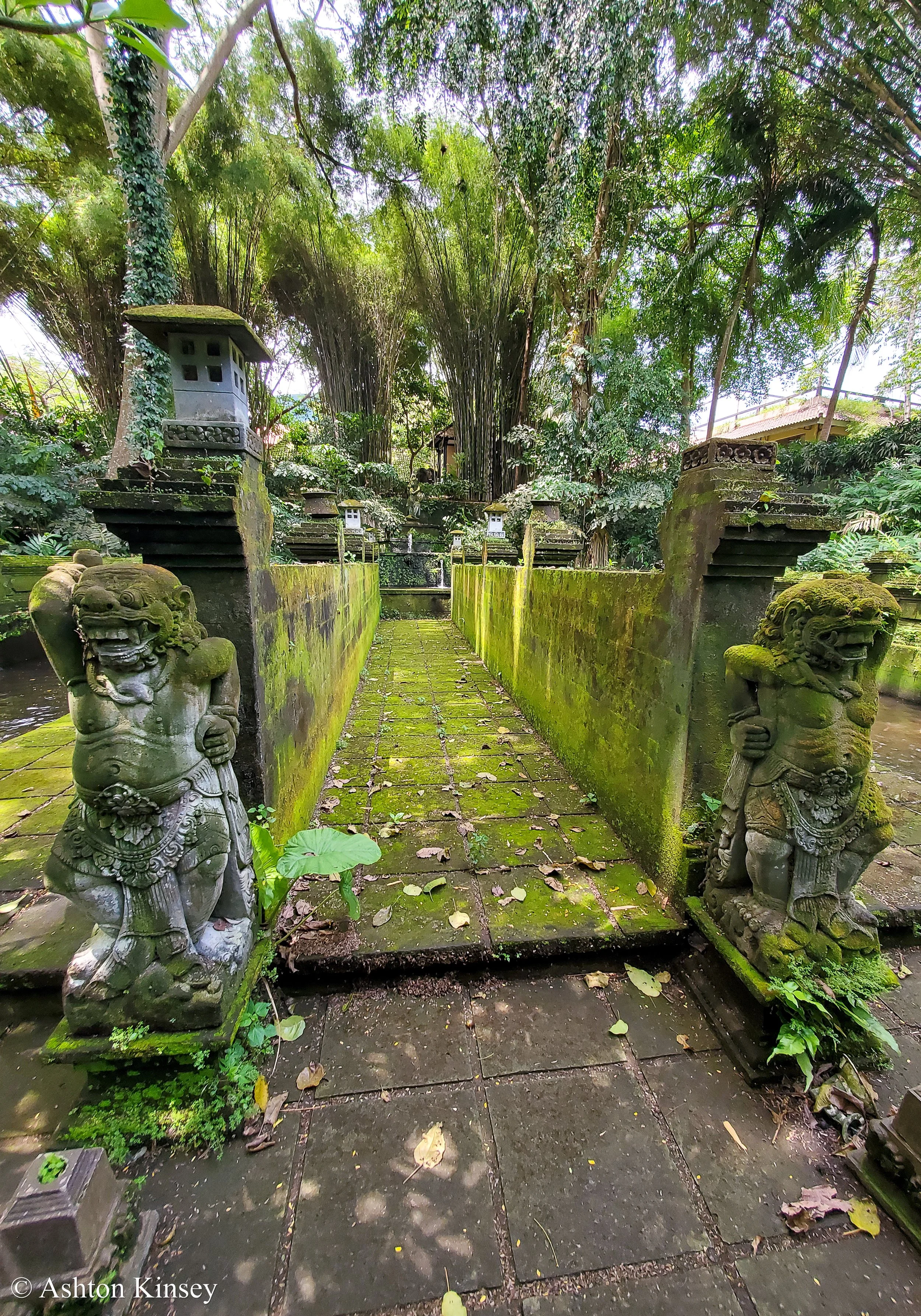 Bali Safari-9.jpg